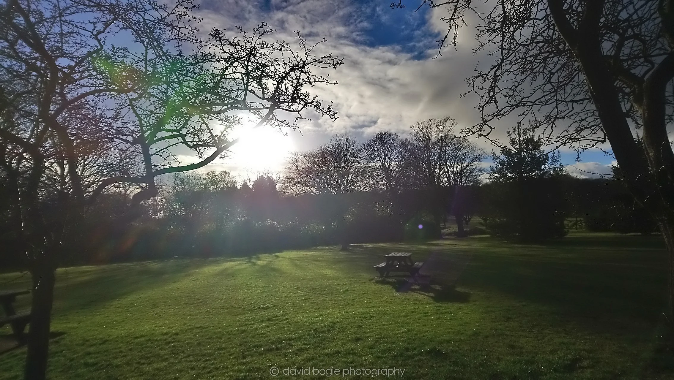 20190101 122419 Beveridge 0005.jpg