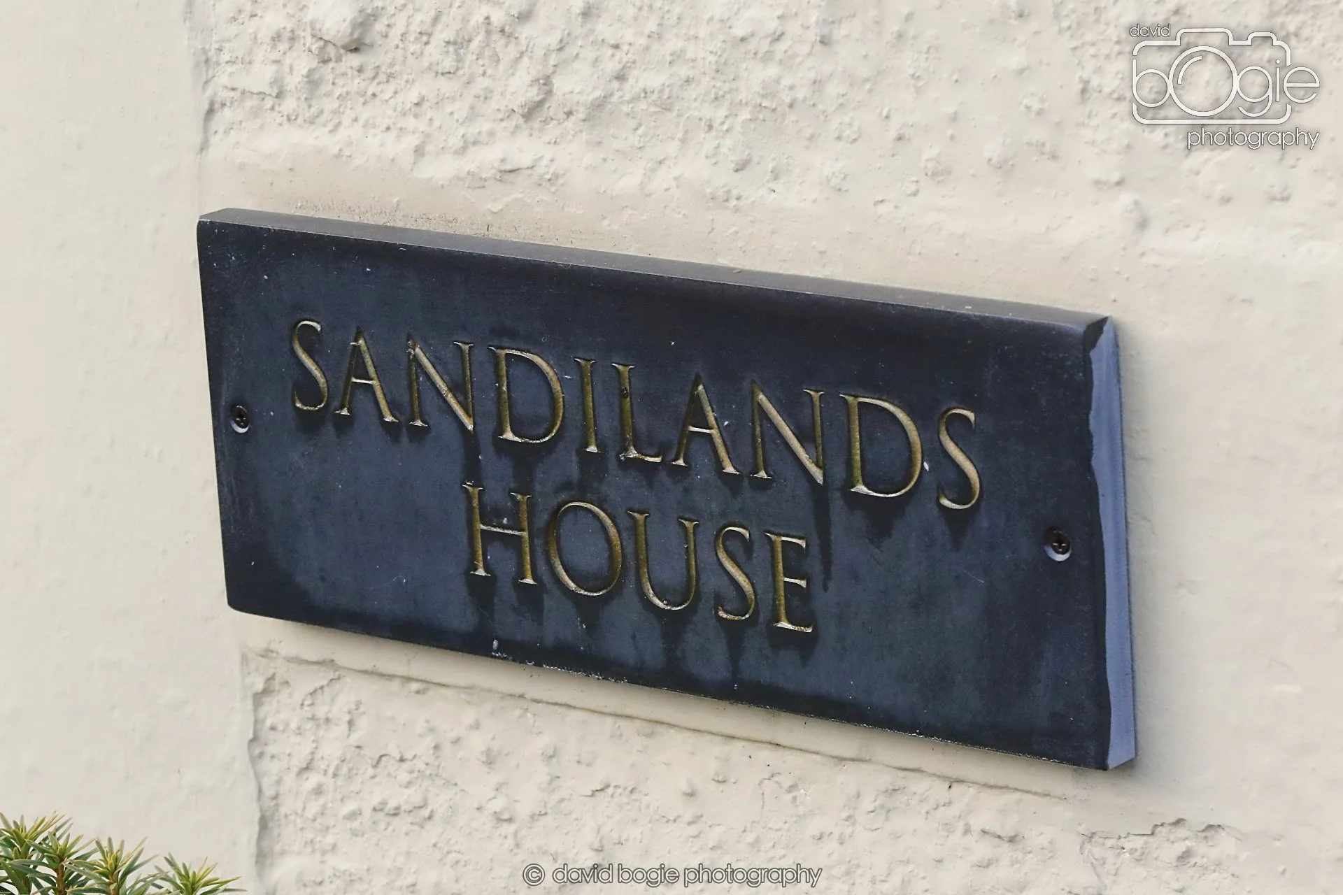 20251205 120844 East Calder 0043.JPG