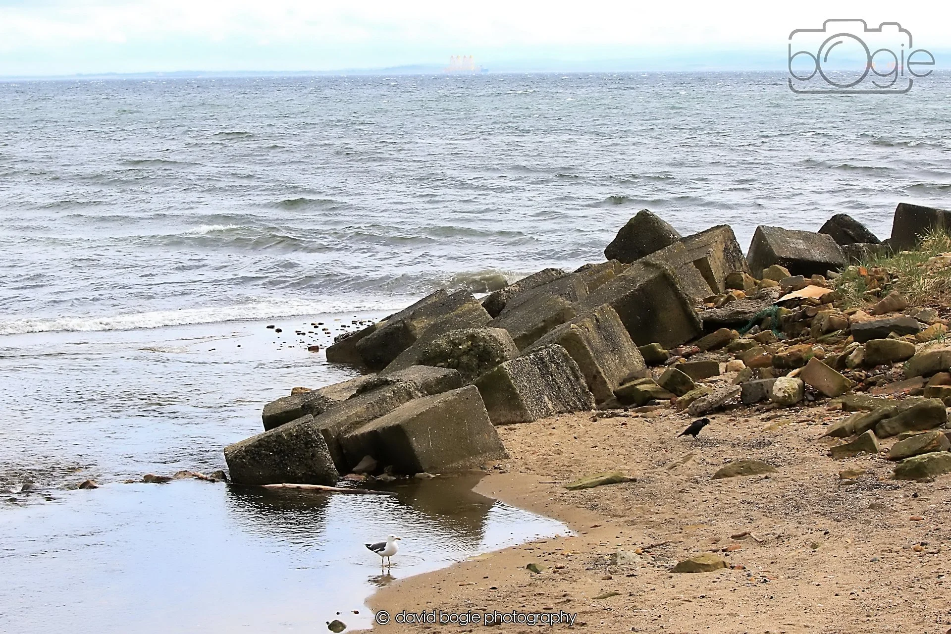 20260415 120821 Links Market 0195.jpg