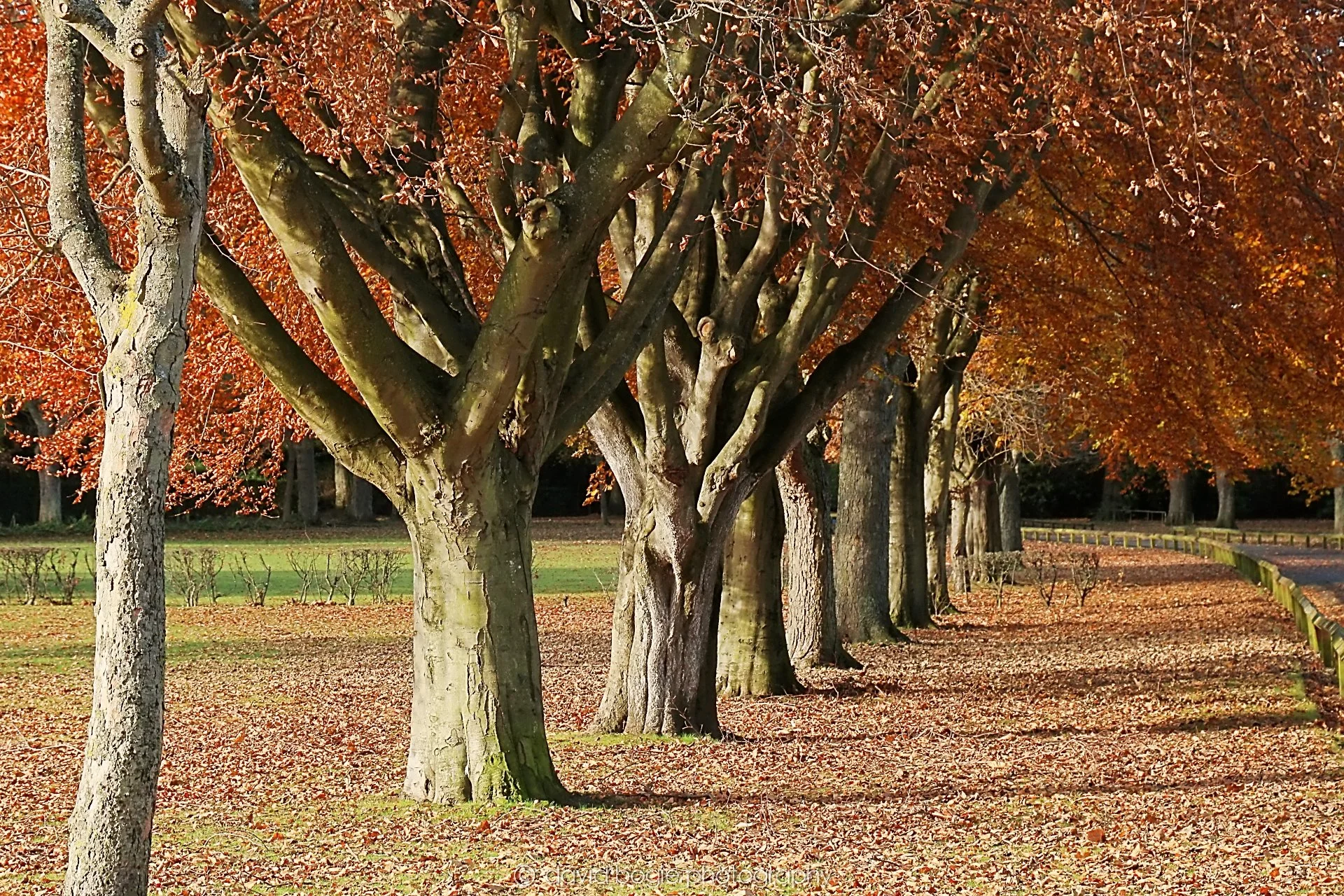 YEAR20231107 Beveridge Park 0268.jpg