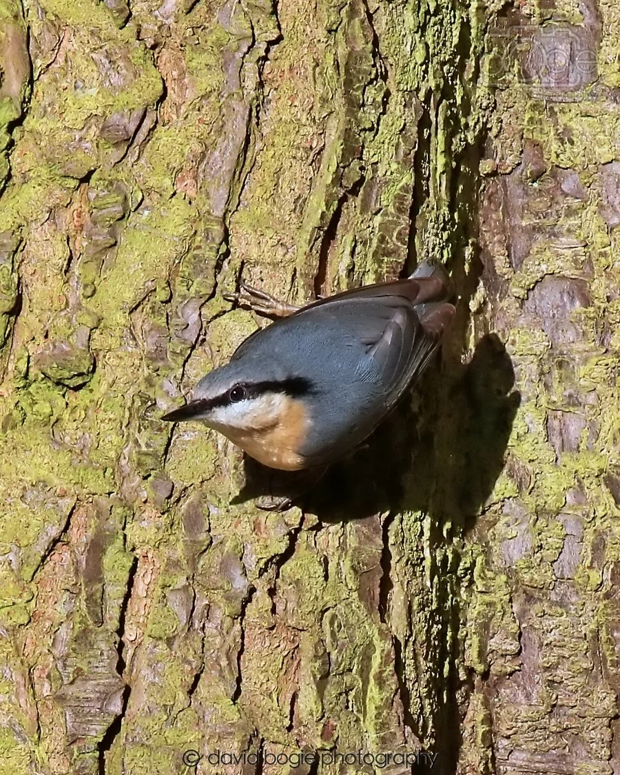 20260128 131927 Dunnikier 0158.jpg