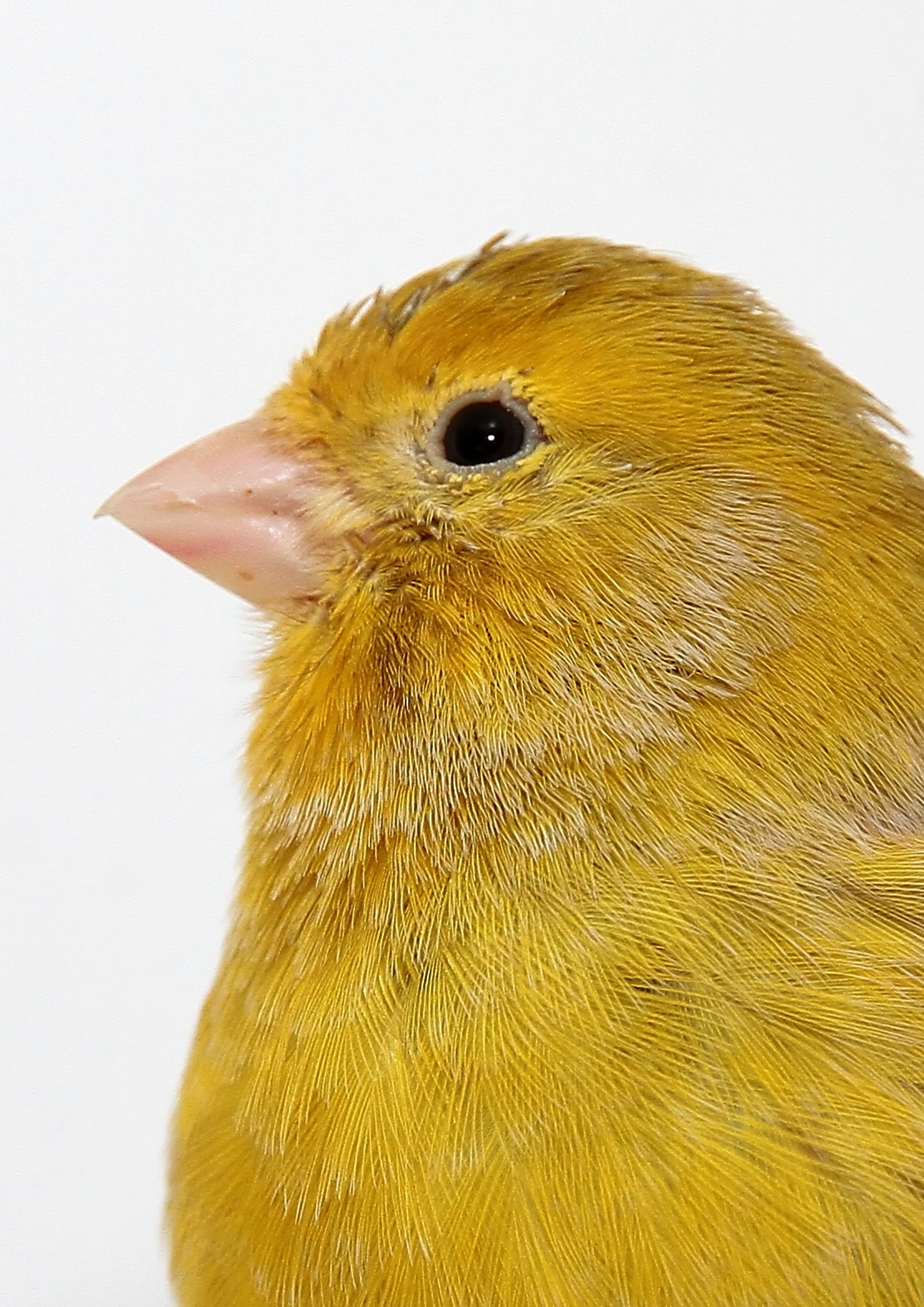 20260331 111701 K&S 0431.jpg