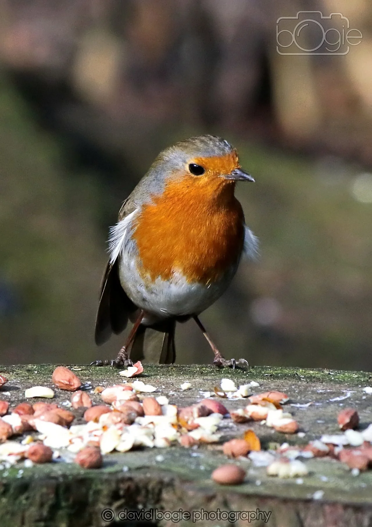 20260322 150903 Dunnikier 0249.jpg