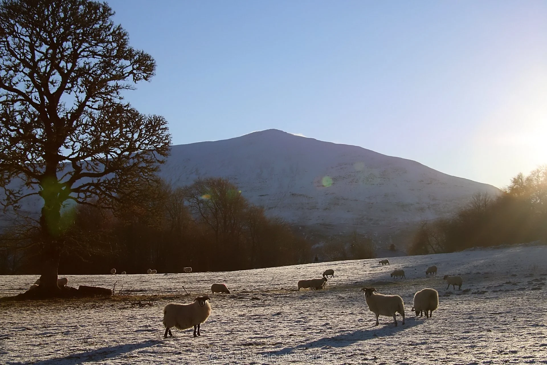 YEAR20221215 00230 Aberfeldy.jpg