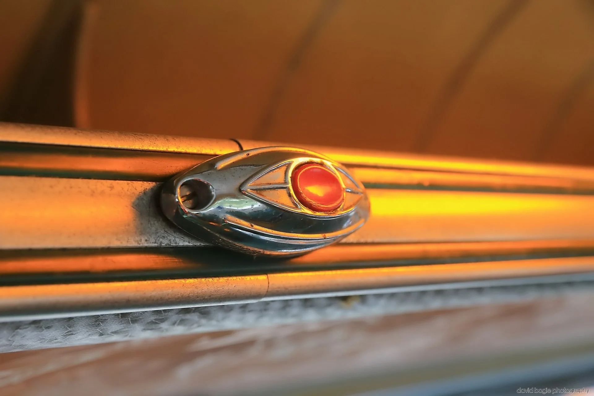 20260426 142611 Bus Bundle 0653.jpg