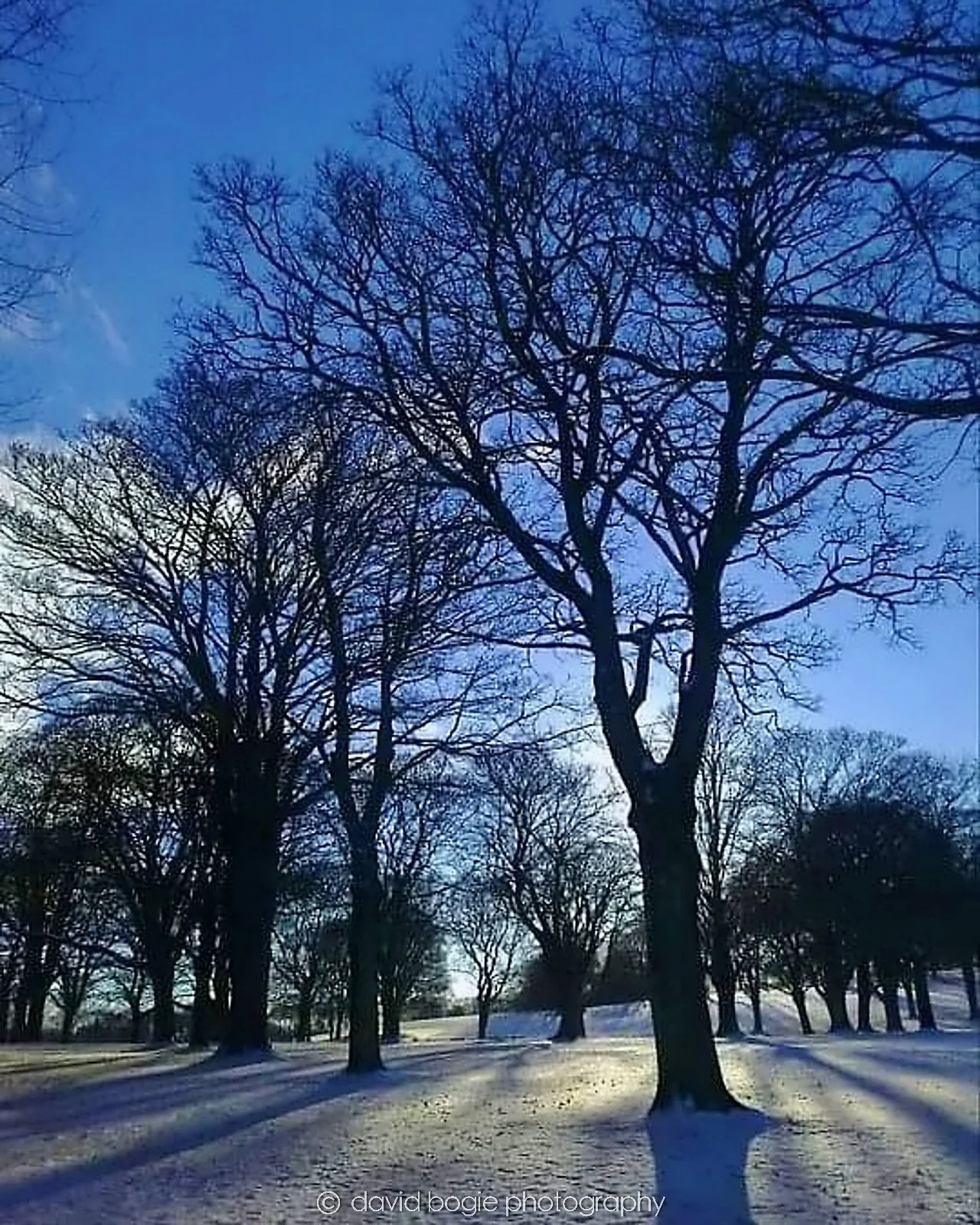20160326 Beveridge Park 0002.jpg