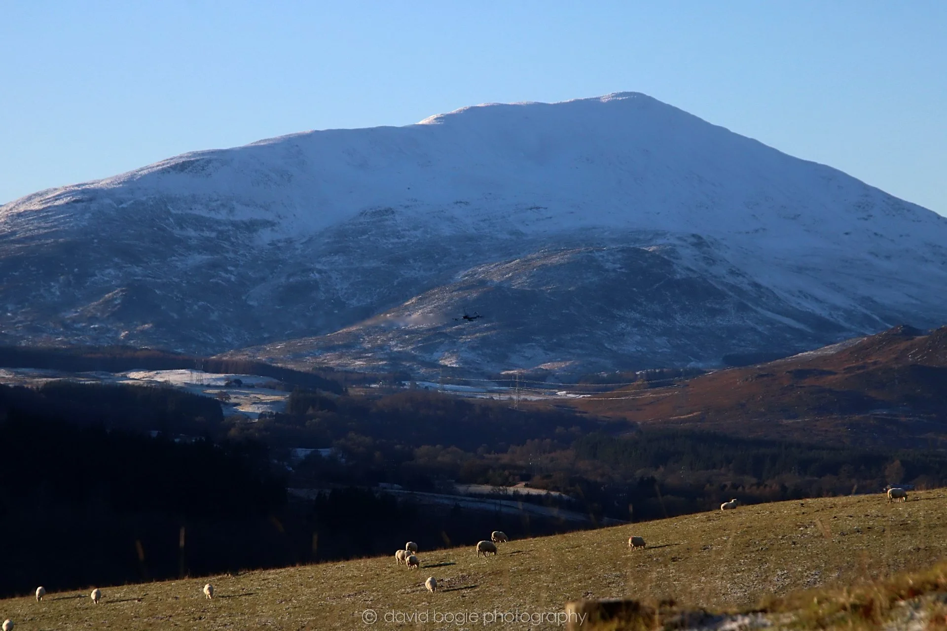 YEAR20221215 00017 Aberfeldy.jpg