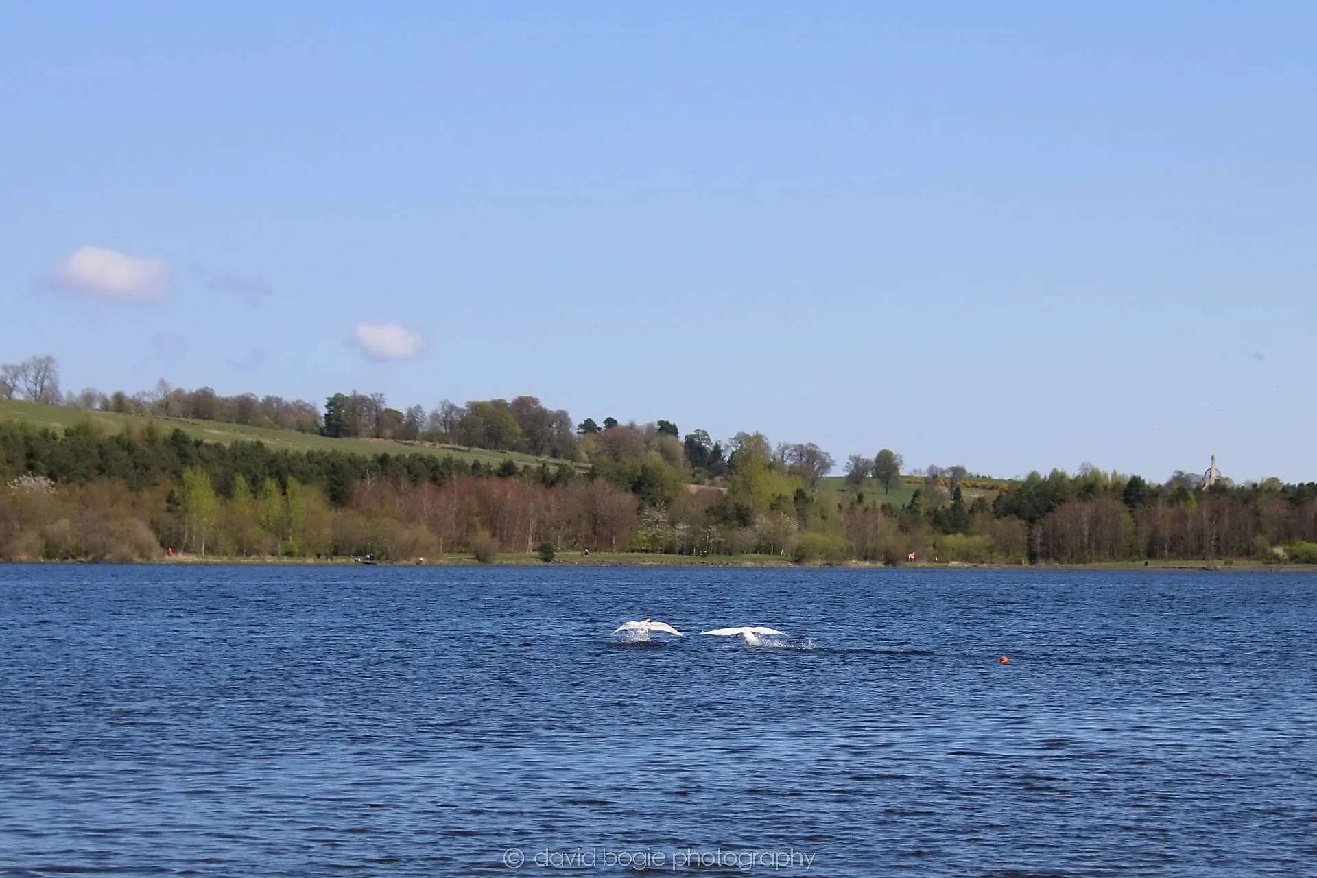 20210420 Lochore 25.jpg