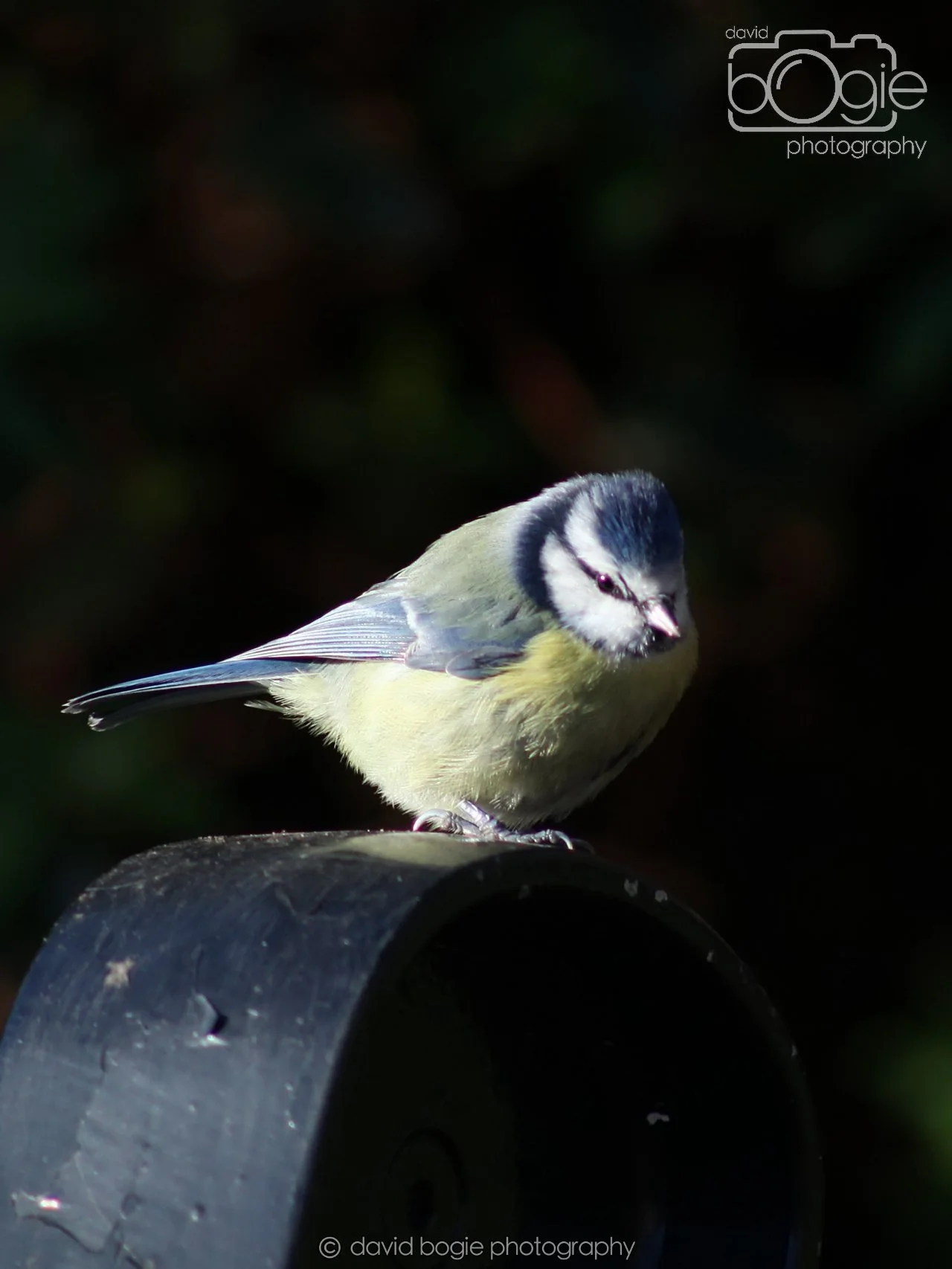 20251125 132548 Silverburn 0023.JPG