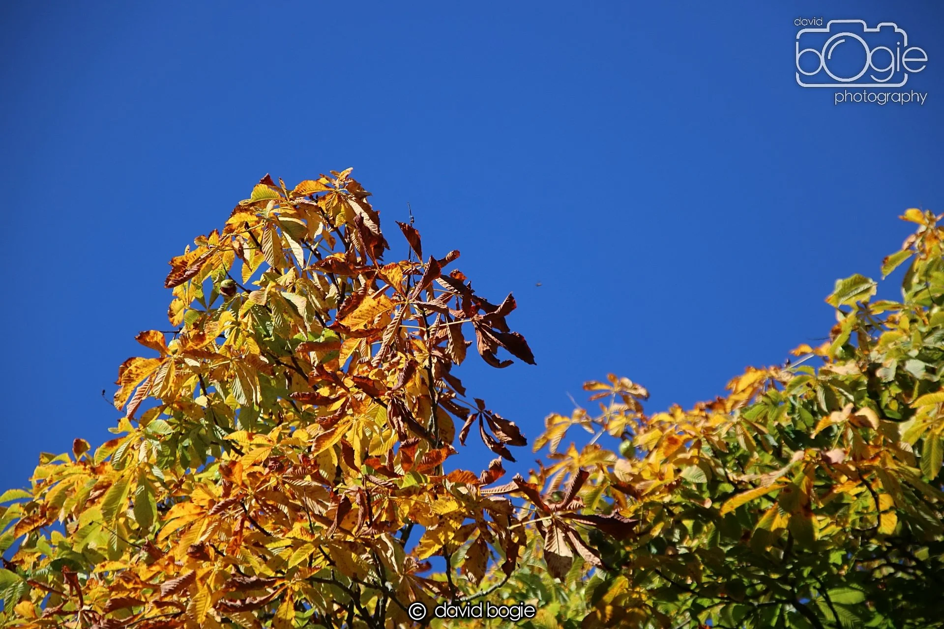 20240918 110356 Beveridge 0079.JPG