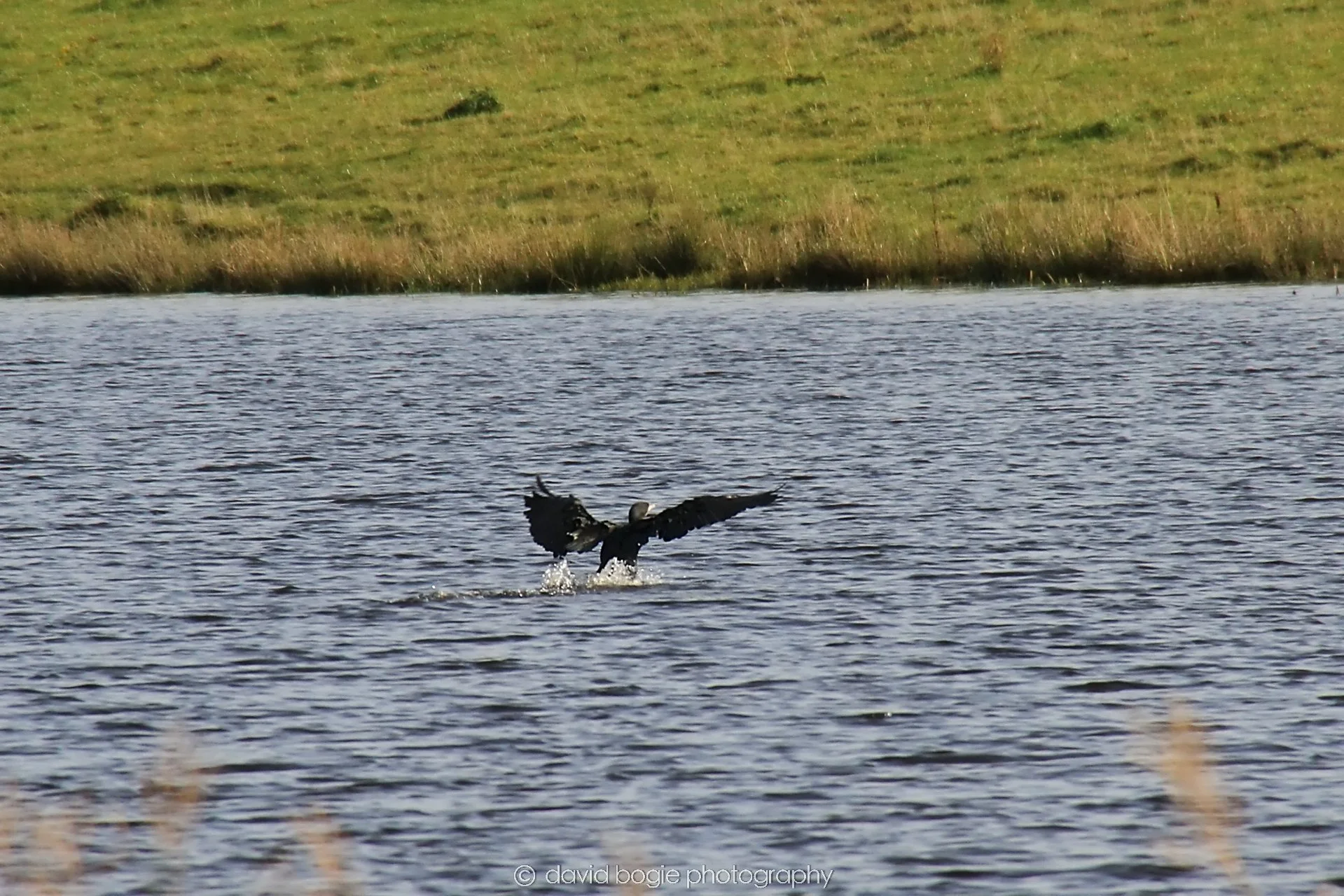 YEAR20231023 Lochore Meadows 121604 0320.jpg