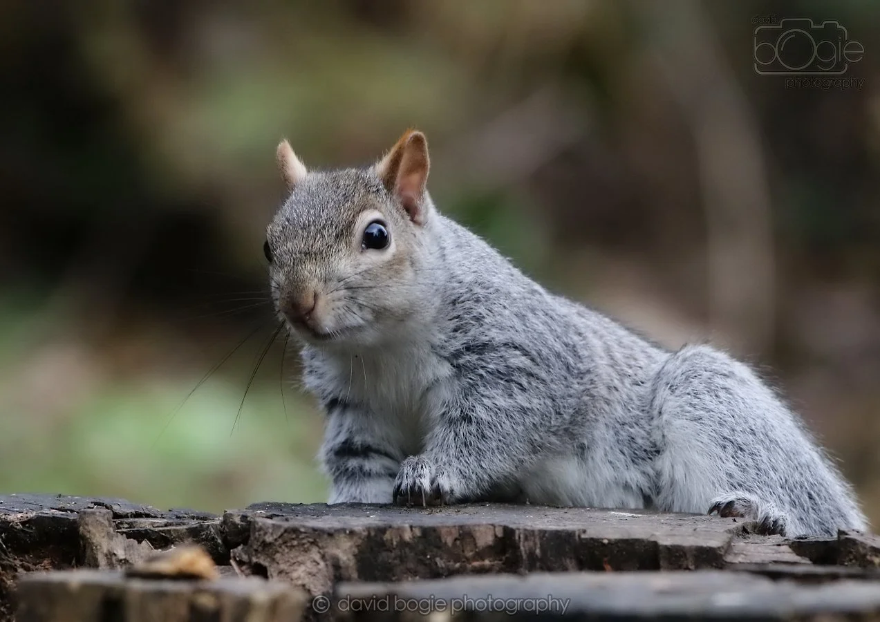 20260314 140929 Silverburn 0105.jpg