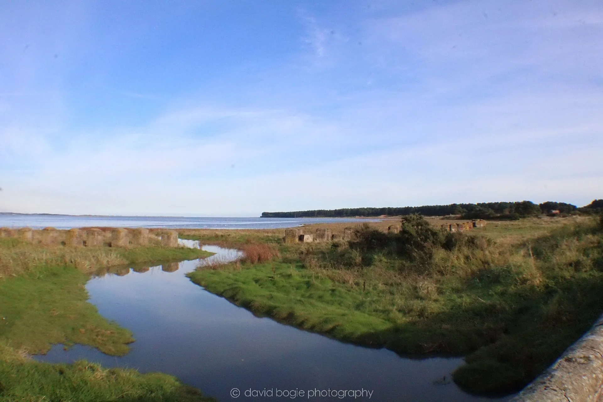 20191014 154303 Tentsmuir 0050.jpg