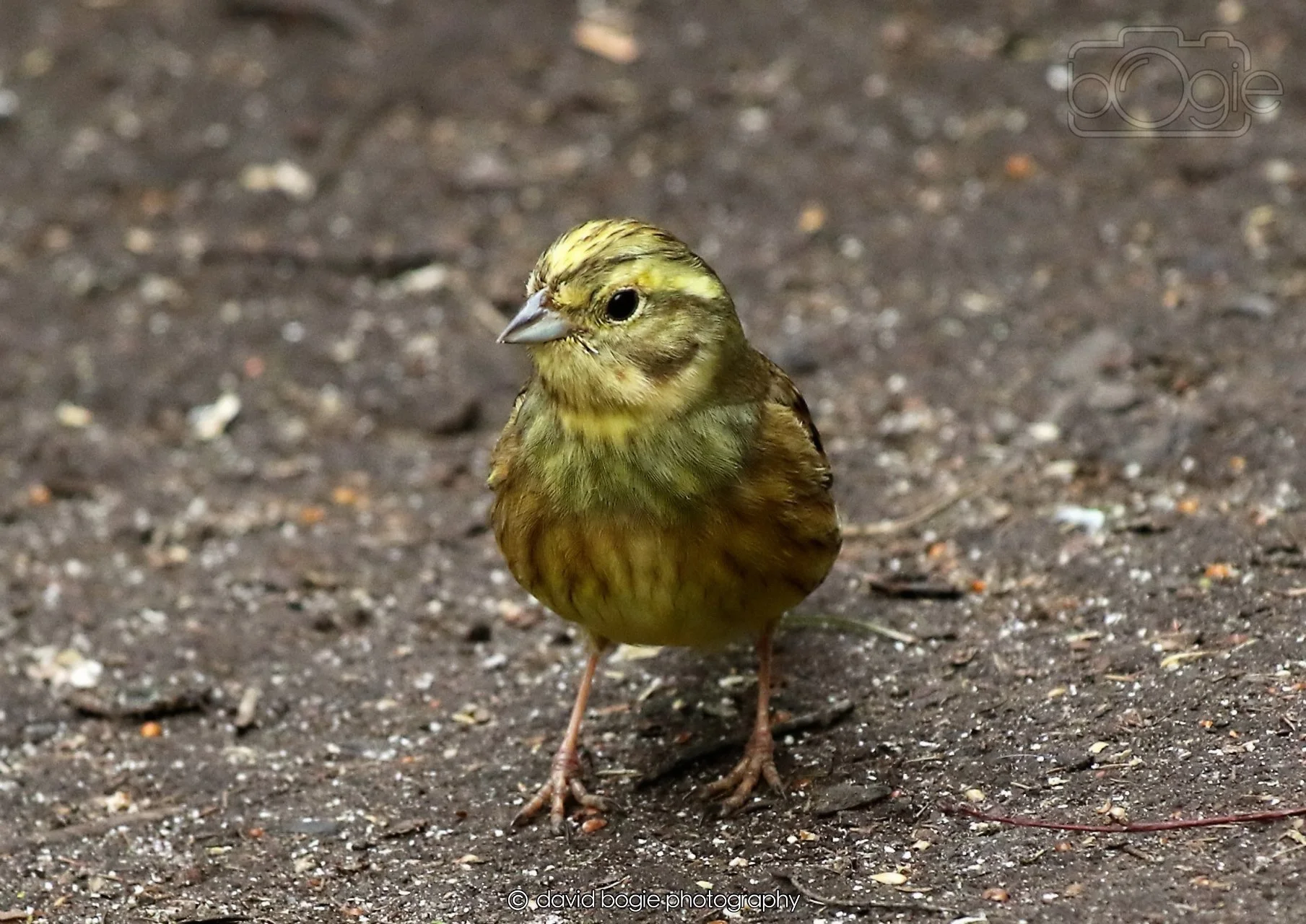 20260326 113526 Silverburn 0212.jpg