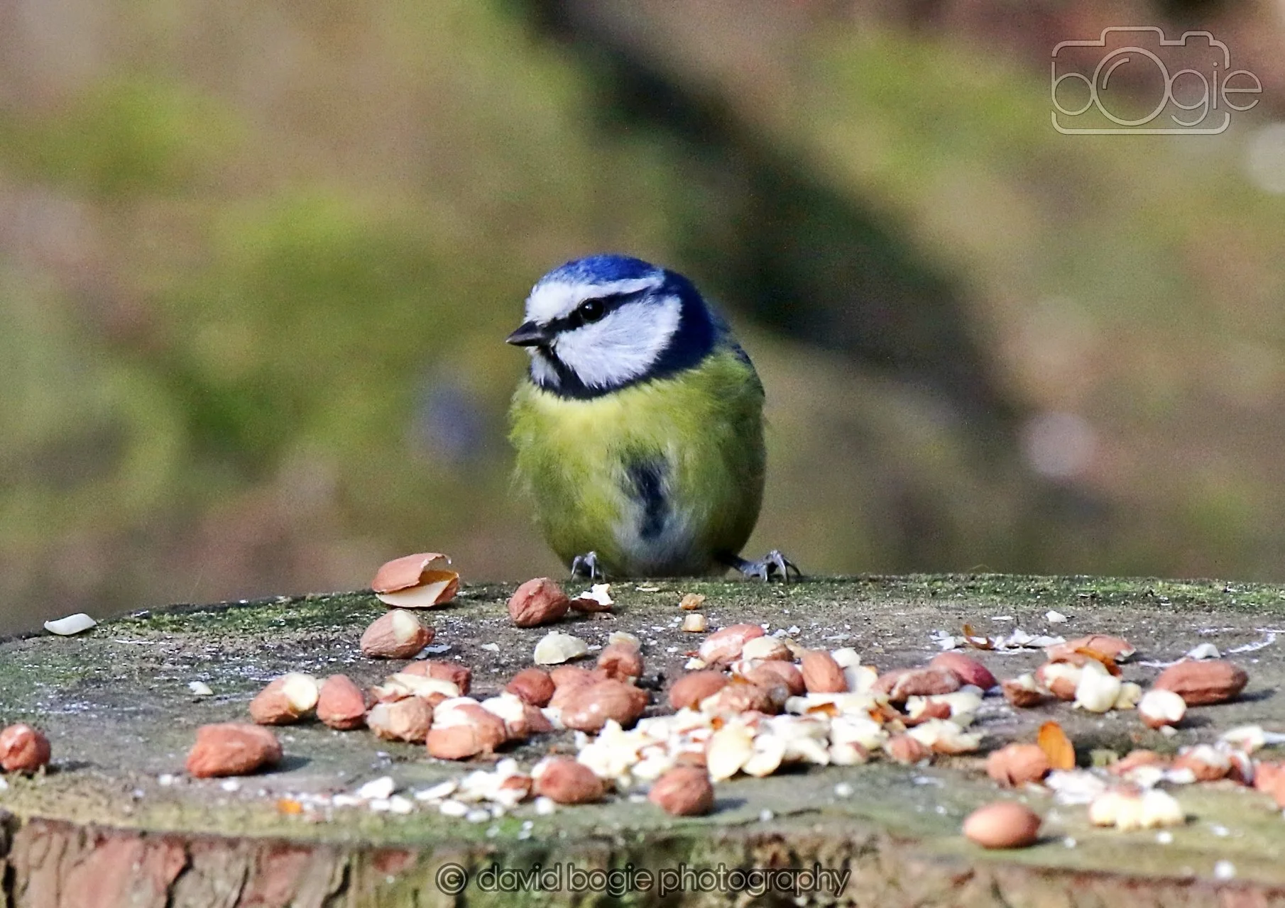 20260322 151121 Dunnikier 0272.jpg