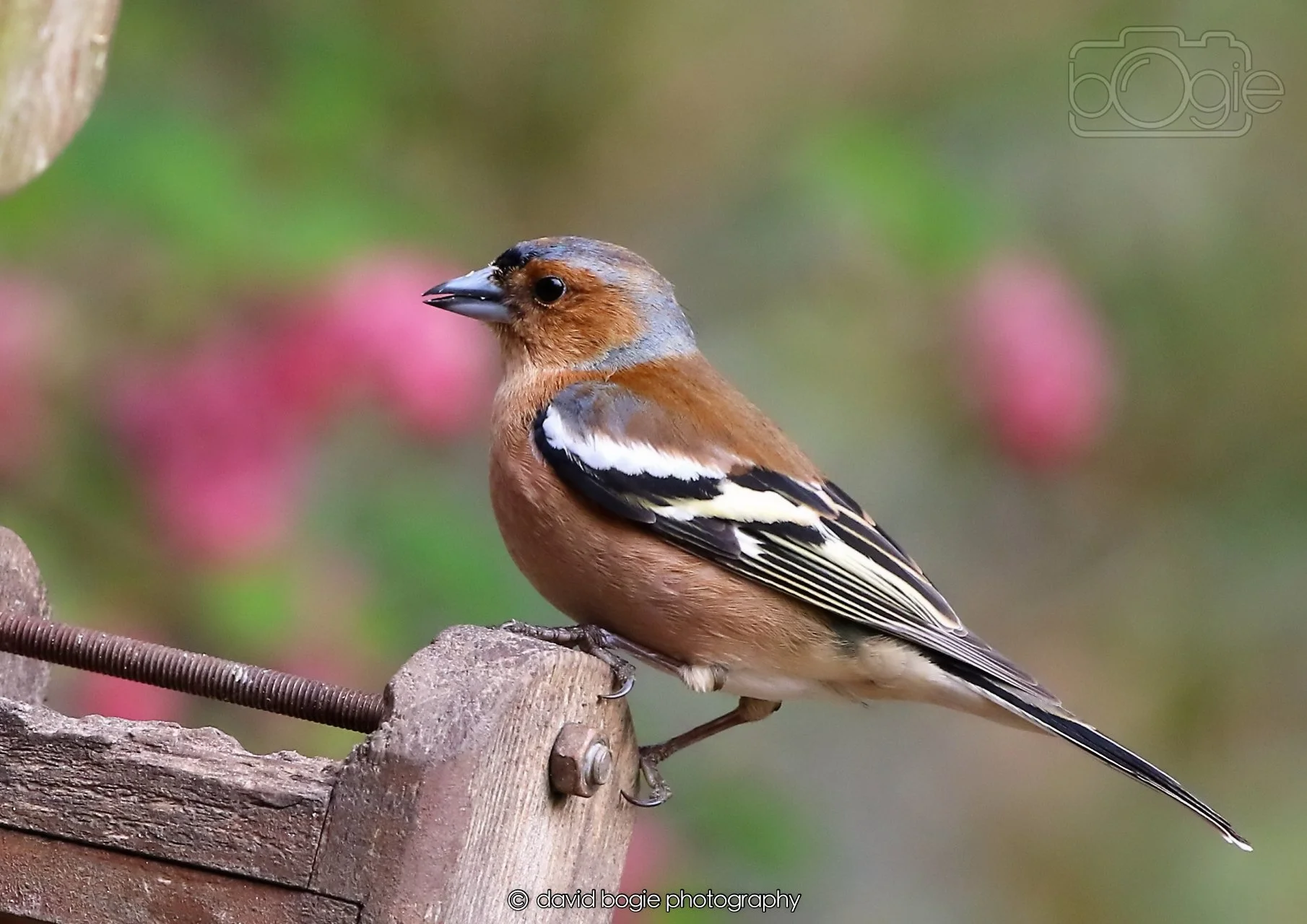 20260326 120342 Silverburn 0355.jpg