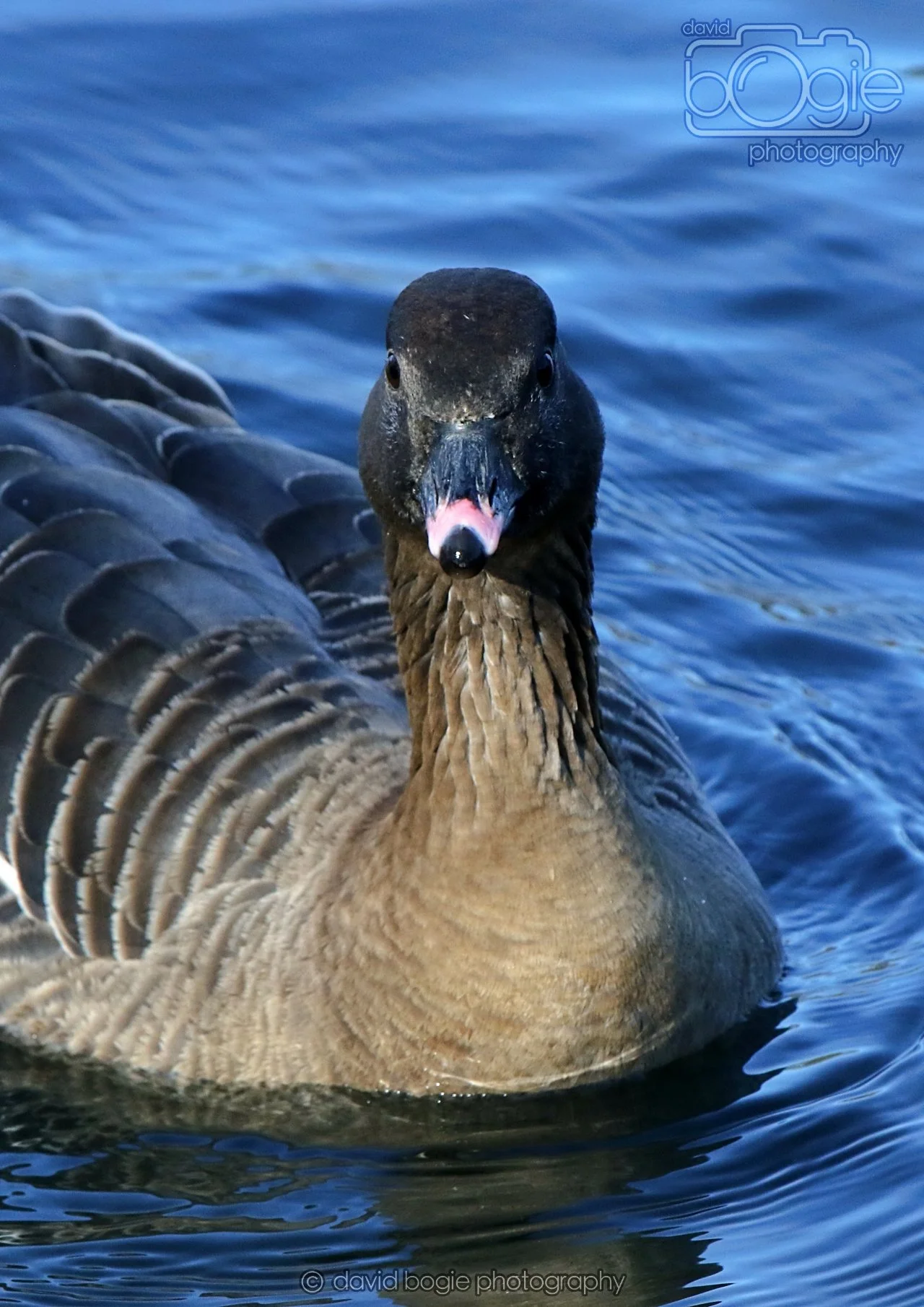 20260319 113159 Beveridge Park 0103.jpg