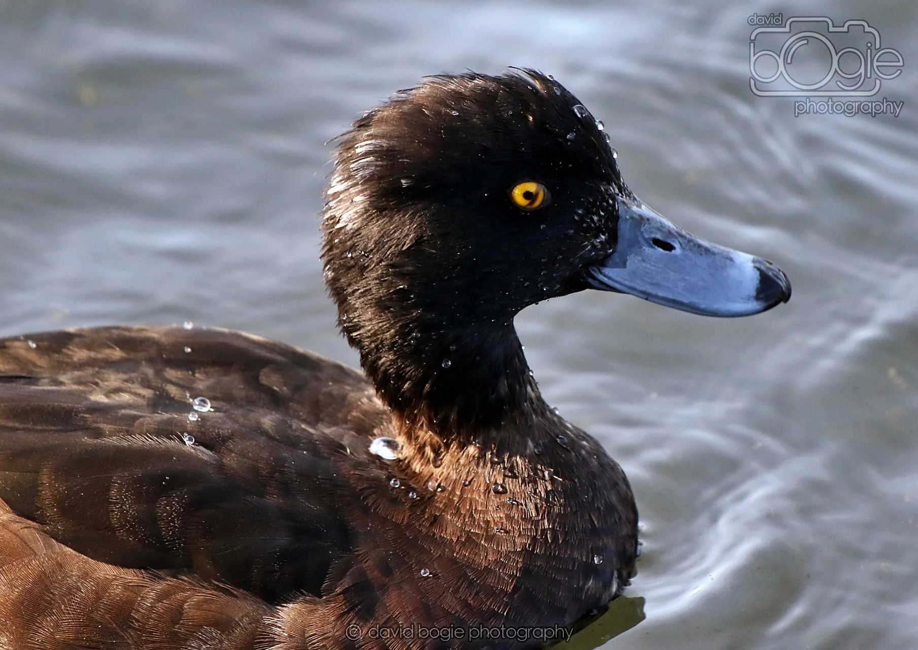 20260319 133517 Beveridge Park 0491.jpg