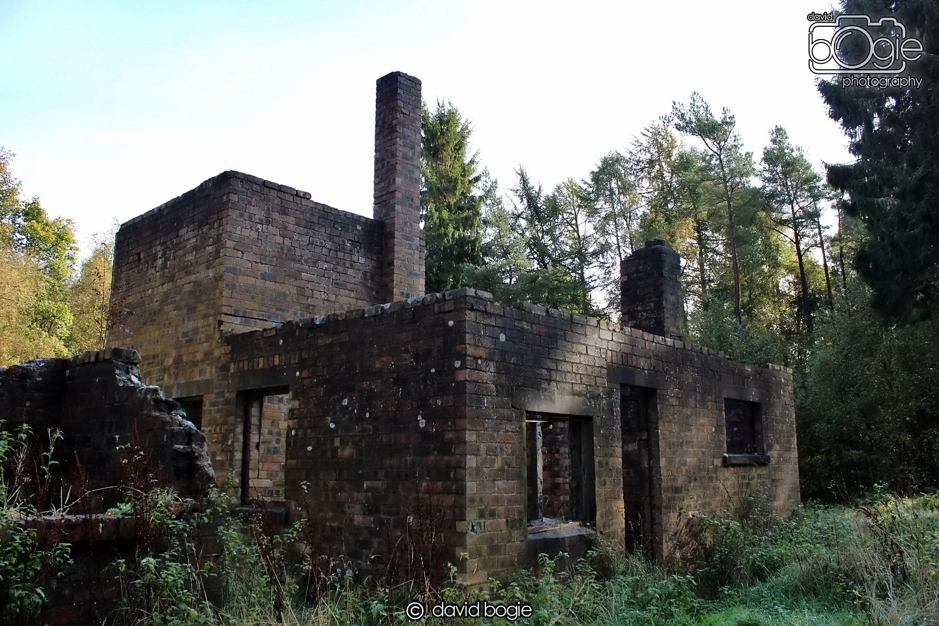 20191014 134551 Tentsmuir 0035.JPG