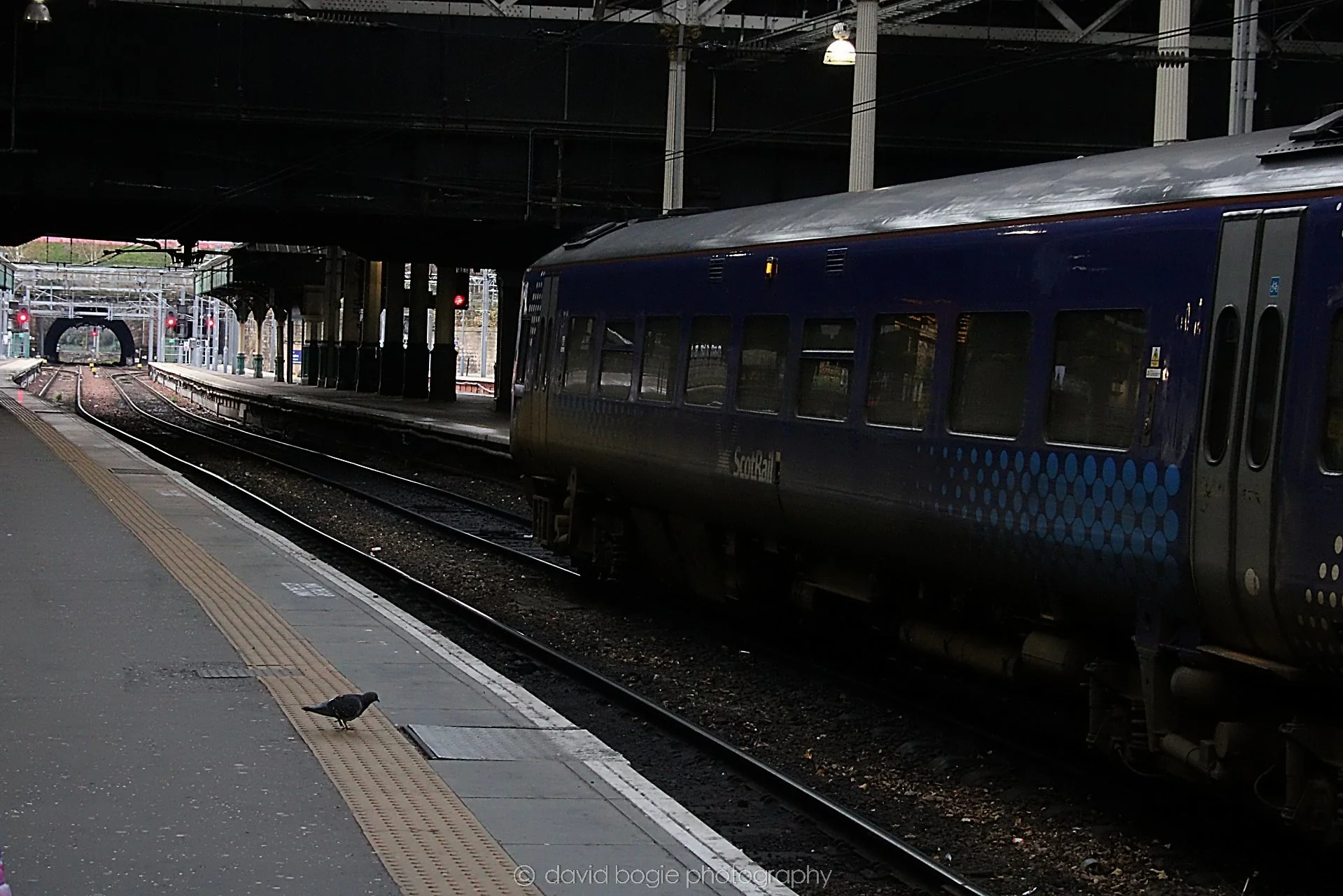 YEAR20221203 Edinburgh 00003 .jpg