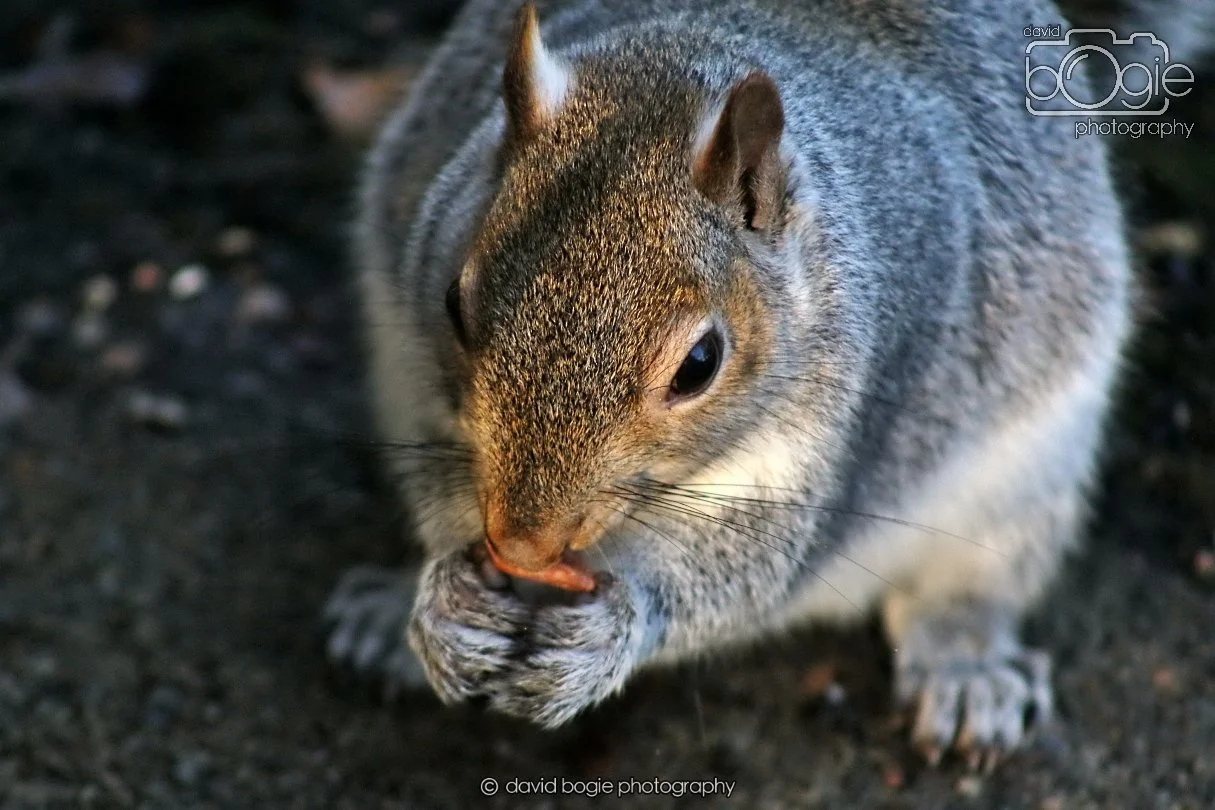 20251231 131250 Silverburn 0074.JPG