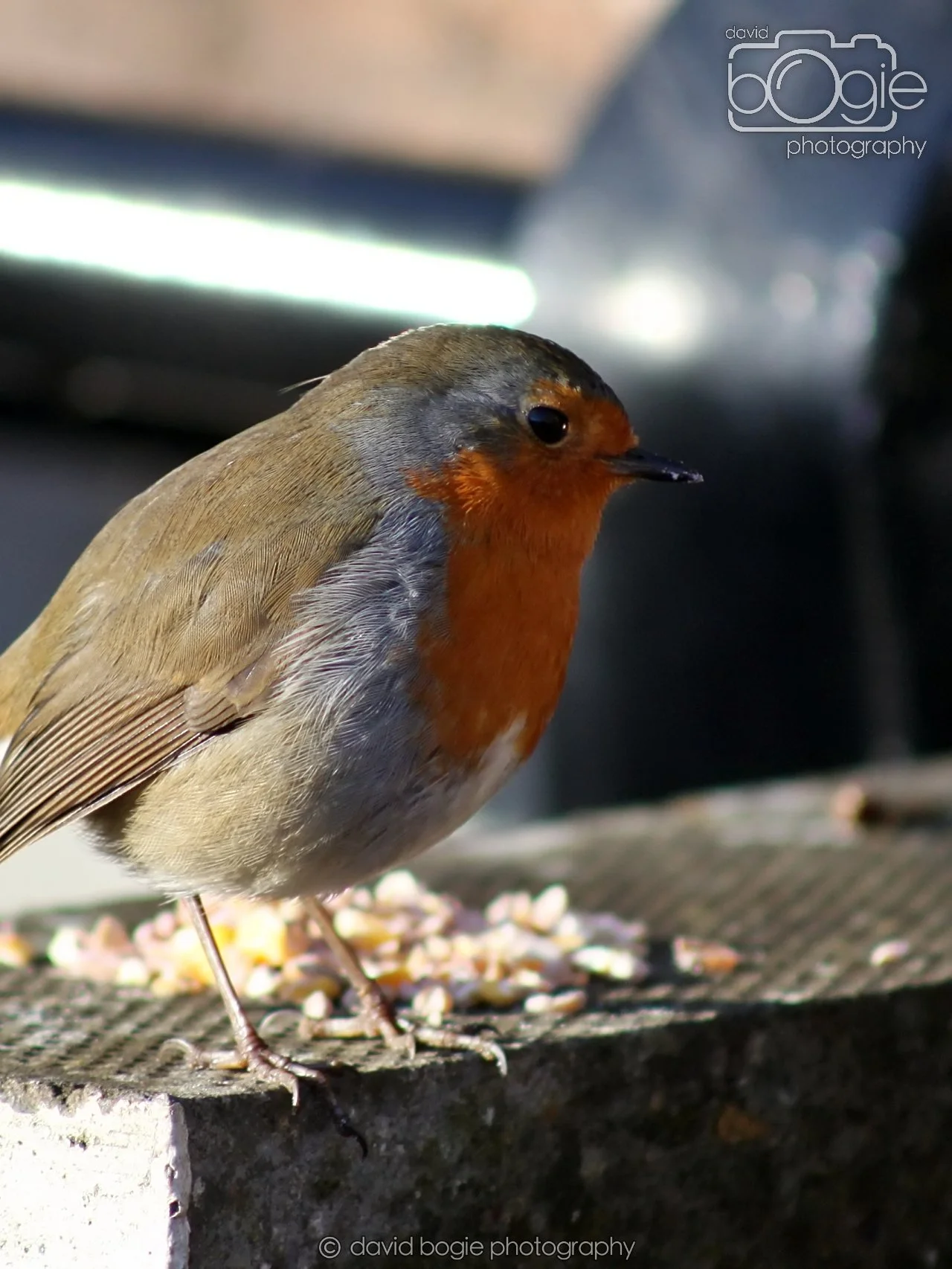 20251125 132610 Silverburn 0026.JPG