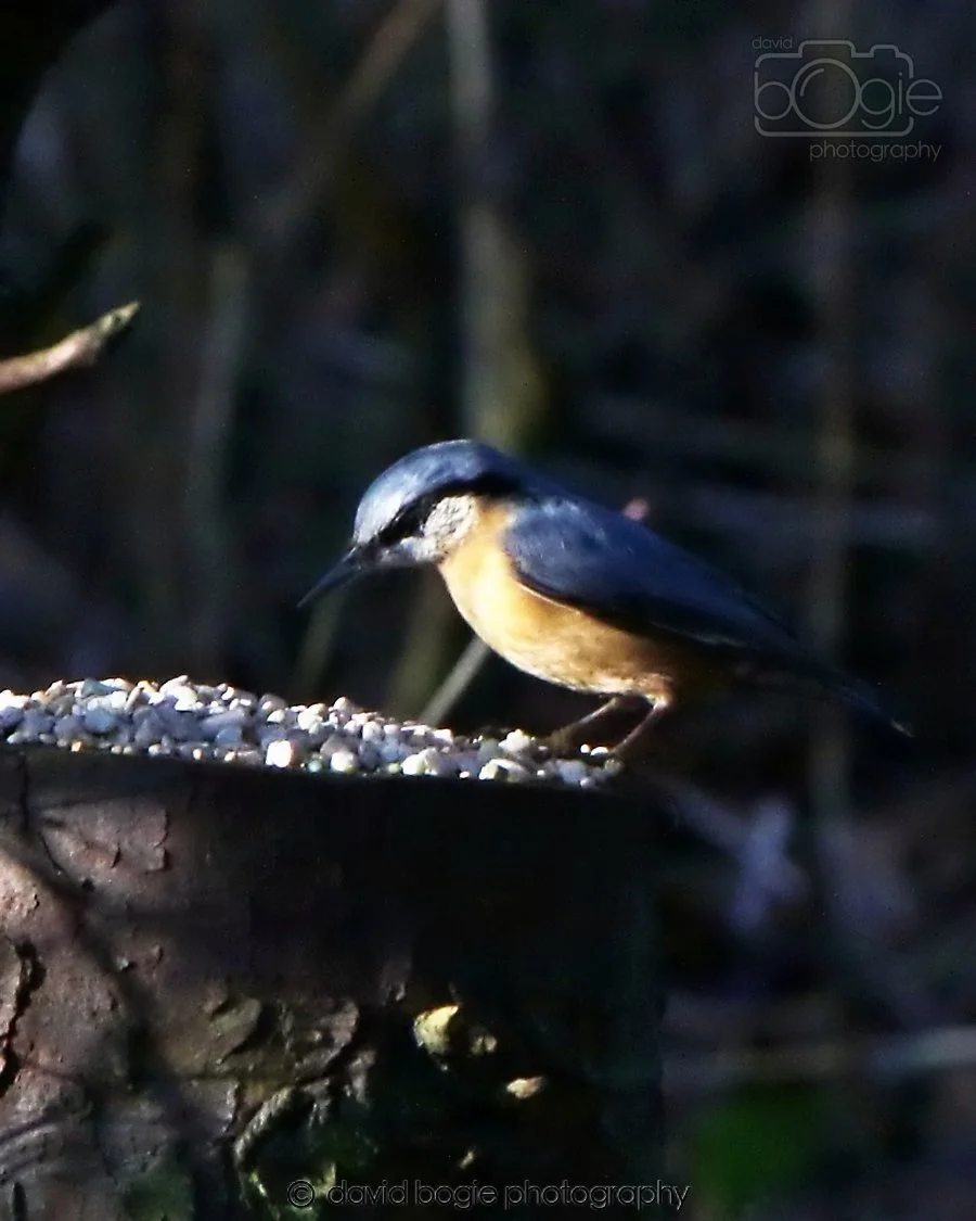 20260128 125941 Dunnikier 0107.jpg