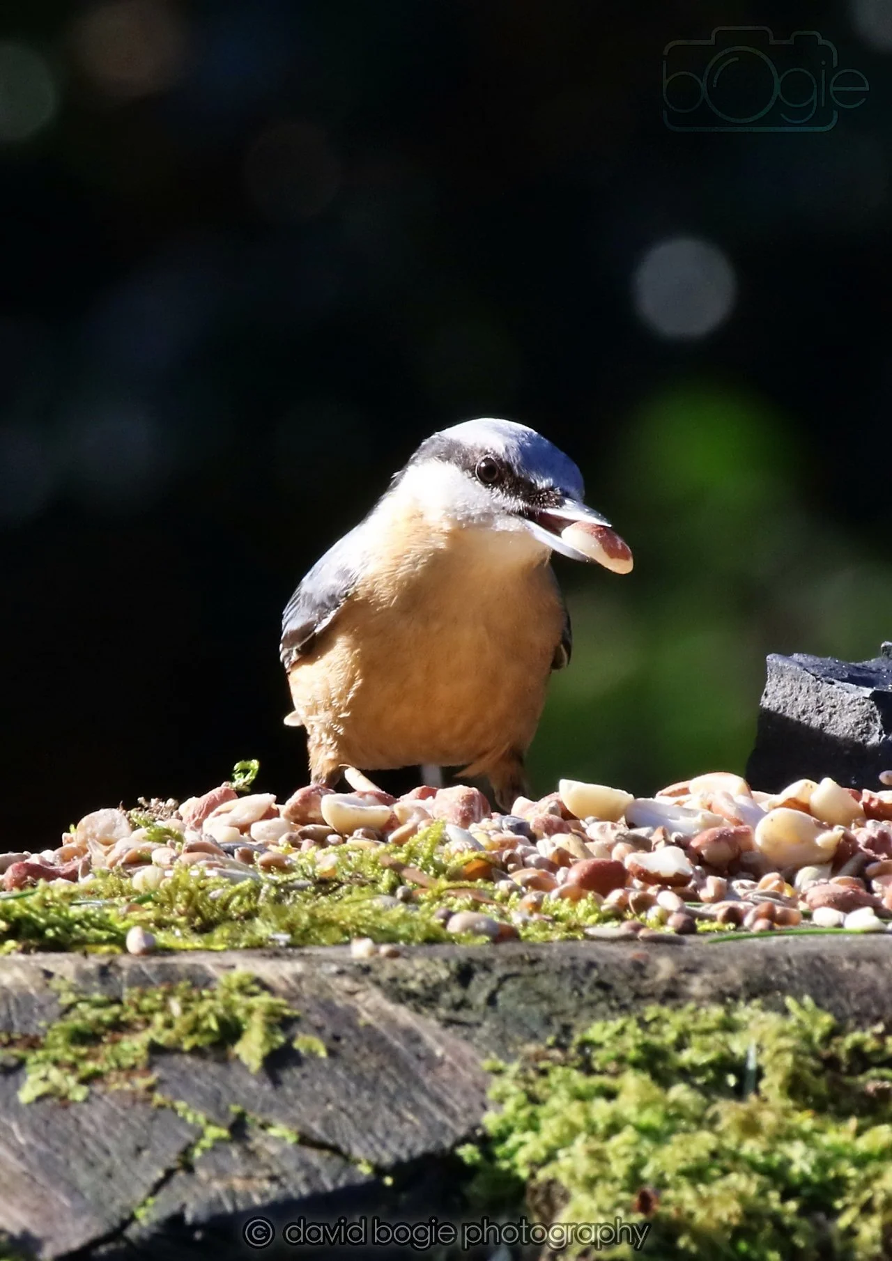 20260320 143715 Ravenscraig 0366.jpg