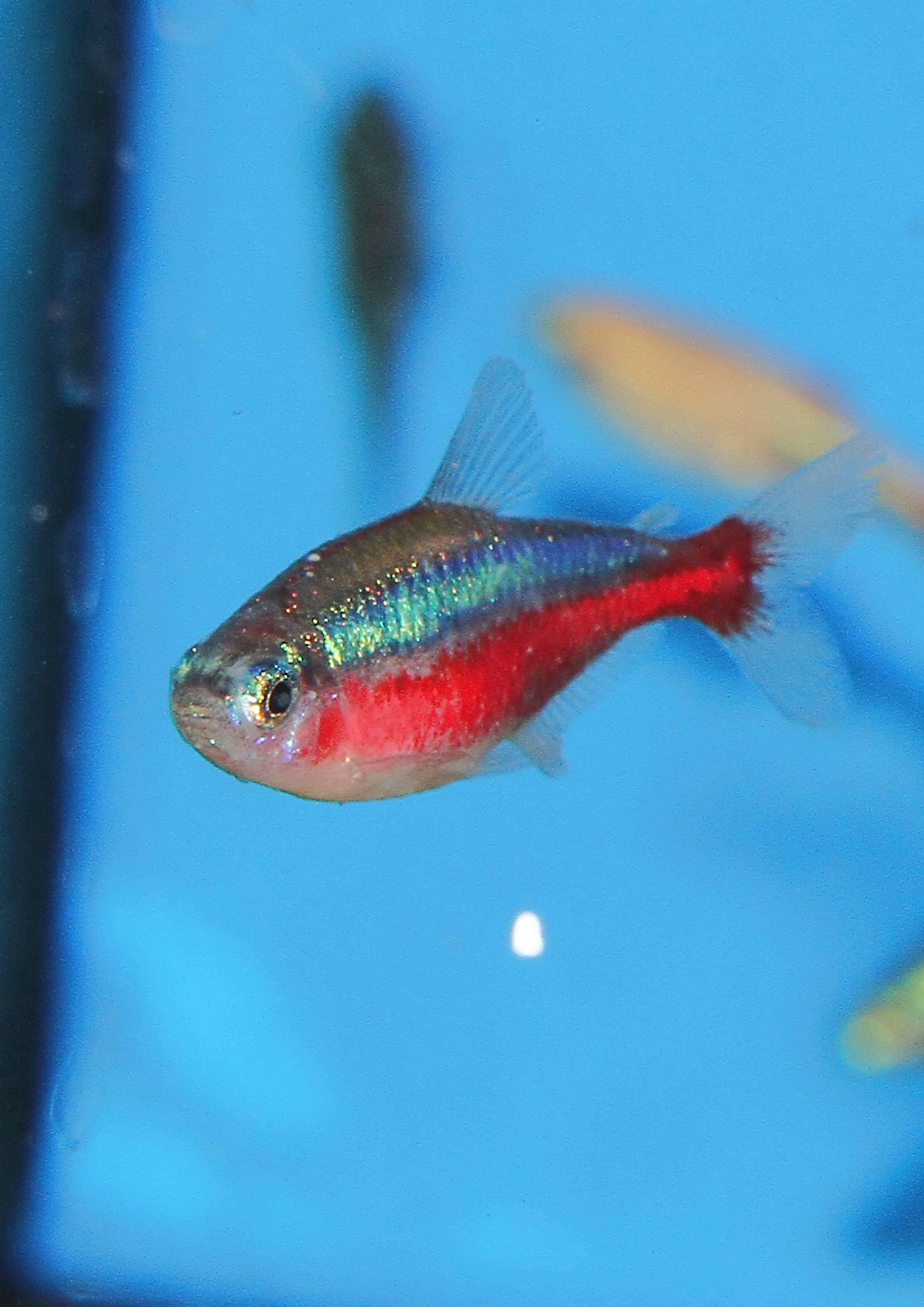 20260403 141831 IMG_0171.jpg