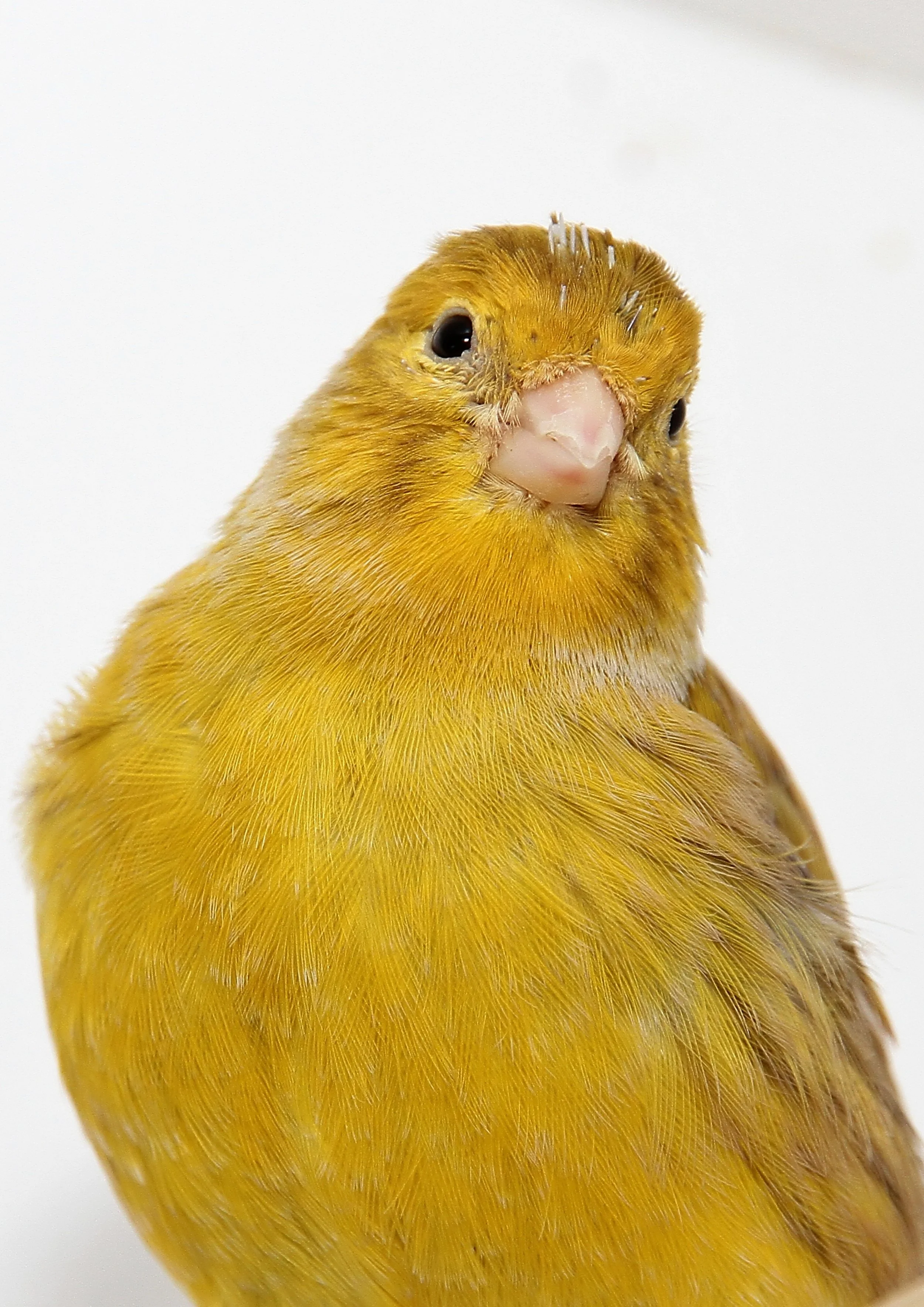 20260331 111656 K&S 0427.jpg