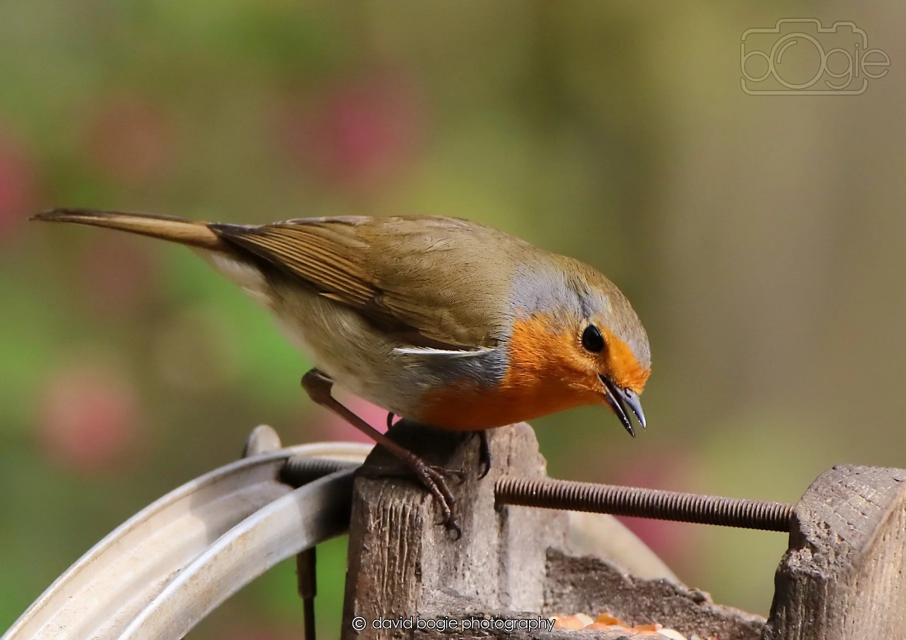 20260326 120852 Silverburn 0435.jpg