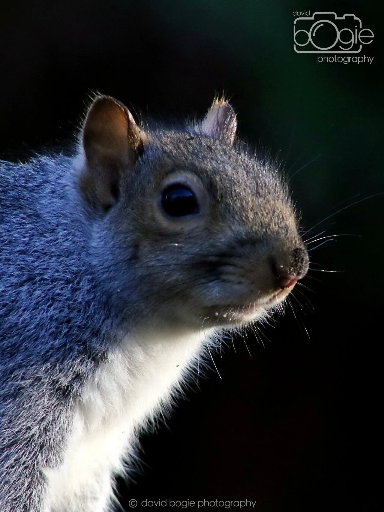 20251125 143142 Silverburn 0772.JPG