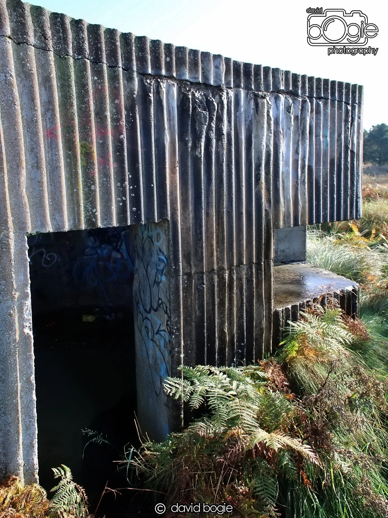 20191014 115646 Tentsmuir 0031.JPG