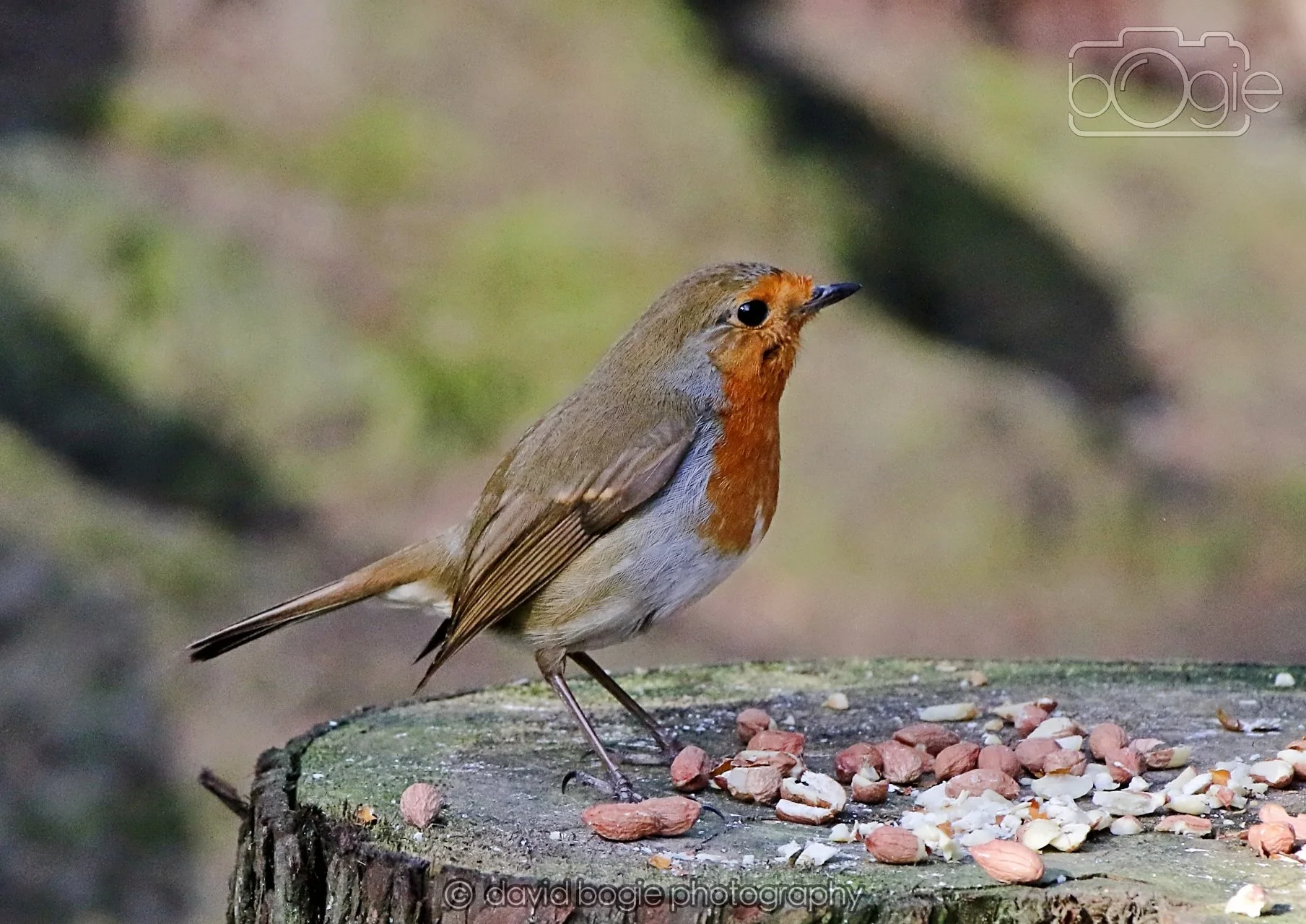 20260322 152039 Dunnikier 0360.jpg