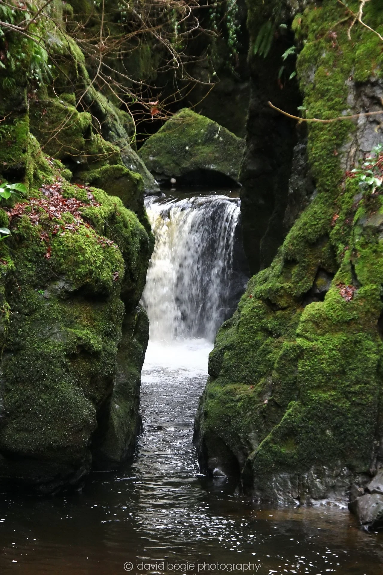YEAR20250114 142159 Rumbling Bridge 0082.jpg