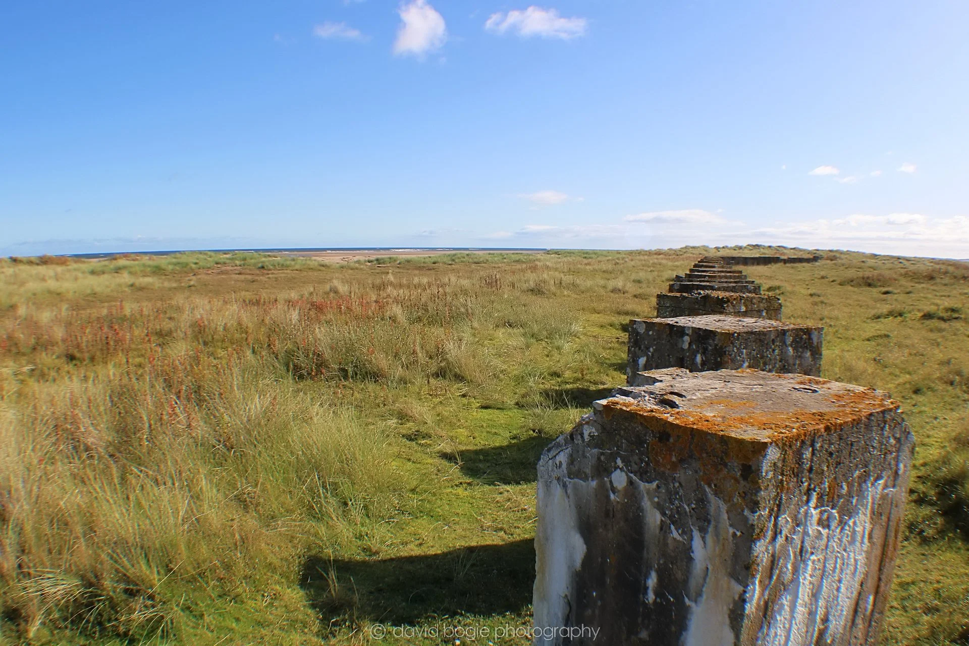20191002 134211 Tentsmuir 0024.jpg