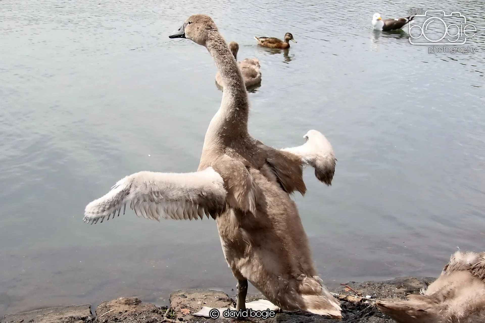 20250721 125036 Beveridge Park 0307.JPG