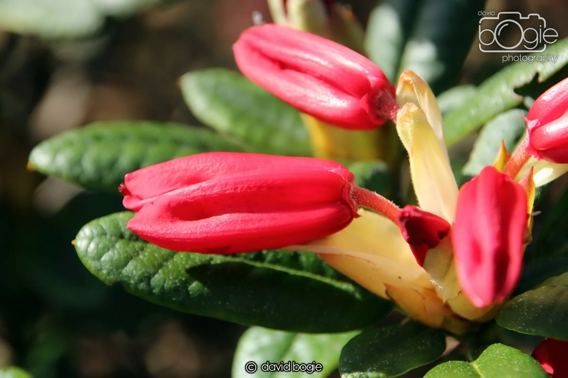 20240423 104027 Beveridge 0005.JPG