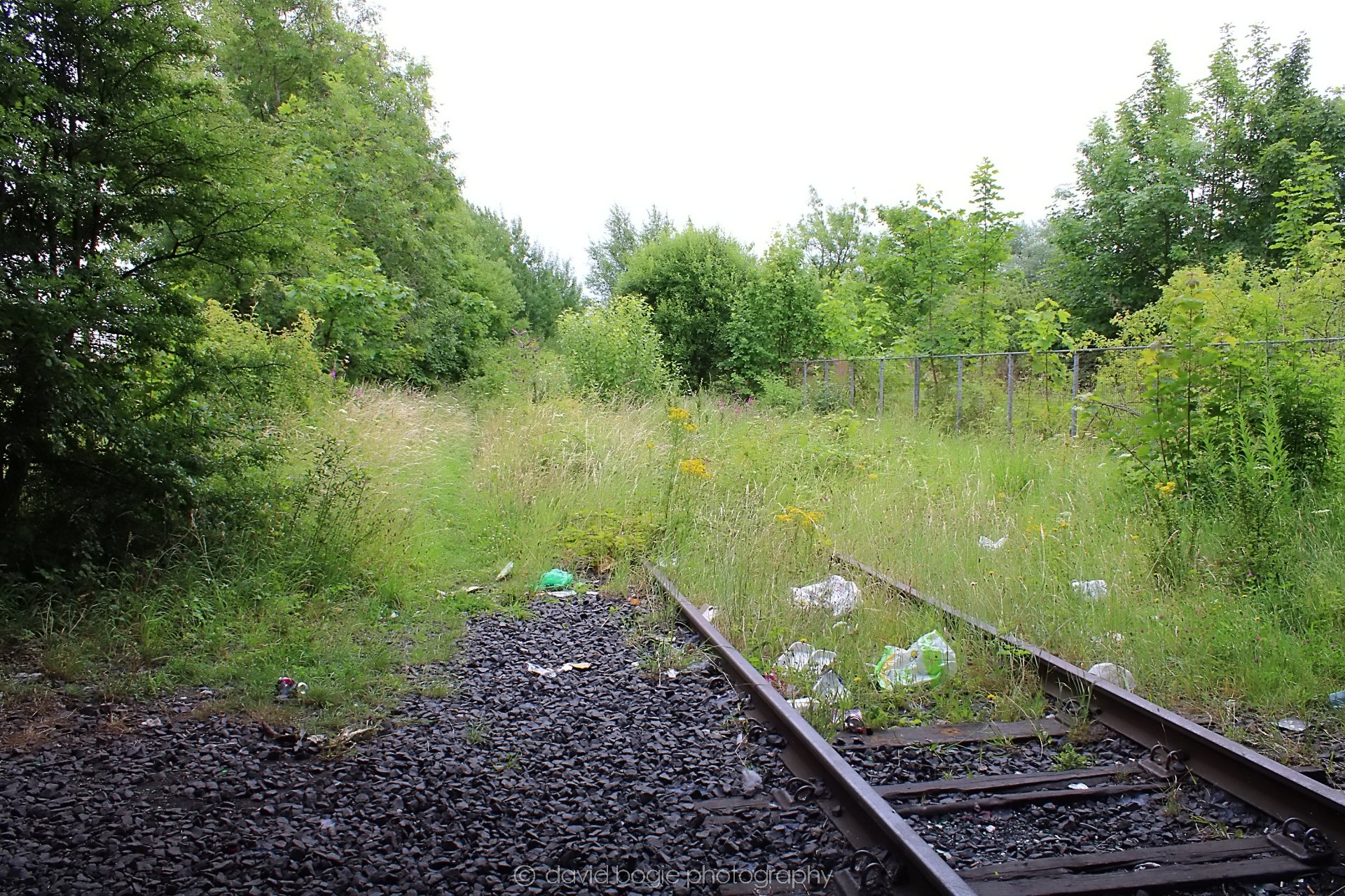 20200717 143613 Leven 0106.jpg