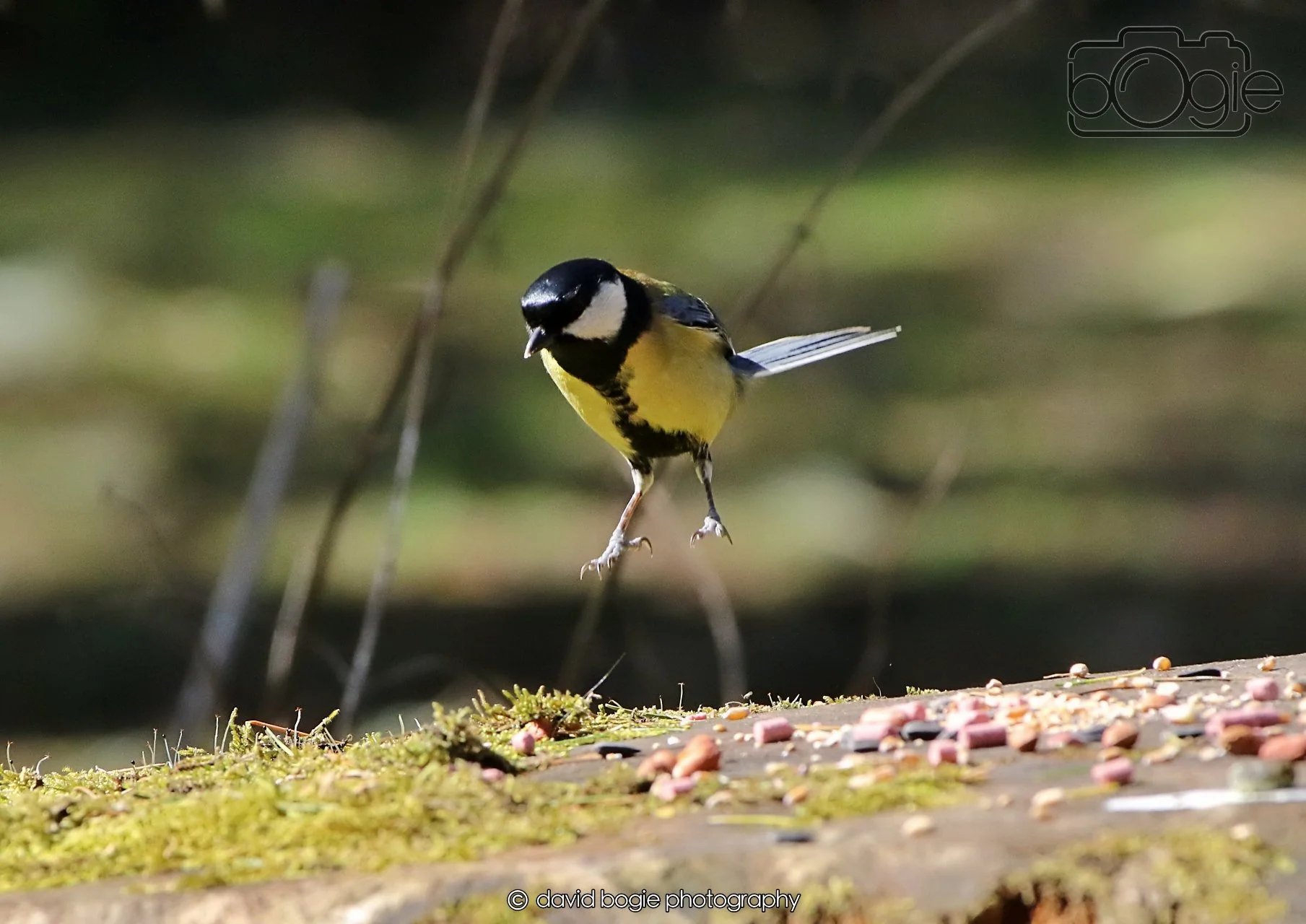 20260402 124006 Ravenscraig 0501.jpg