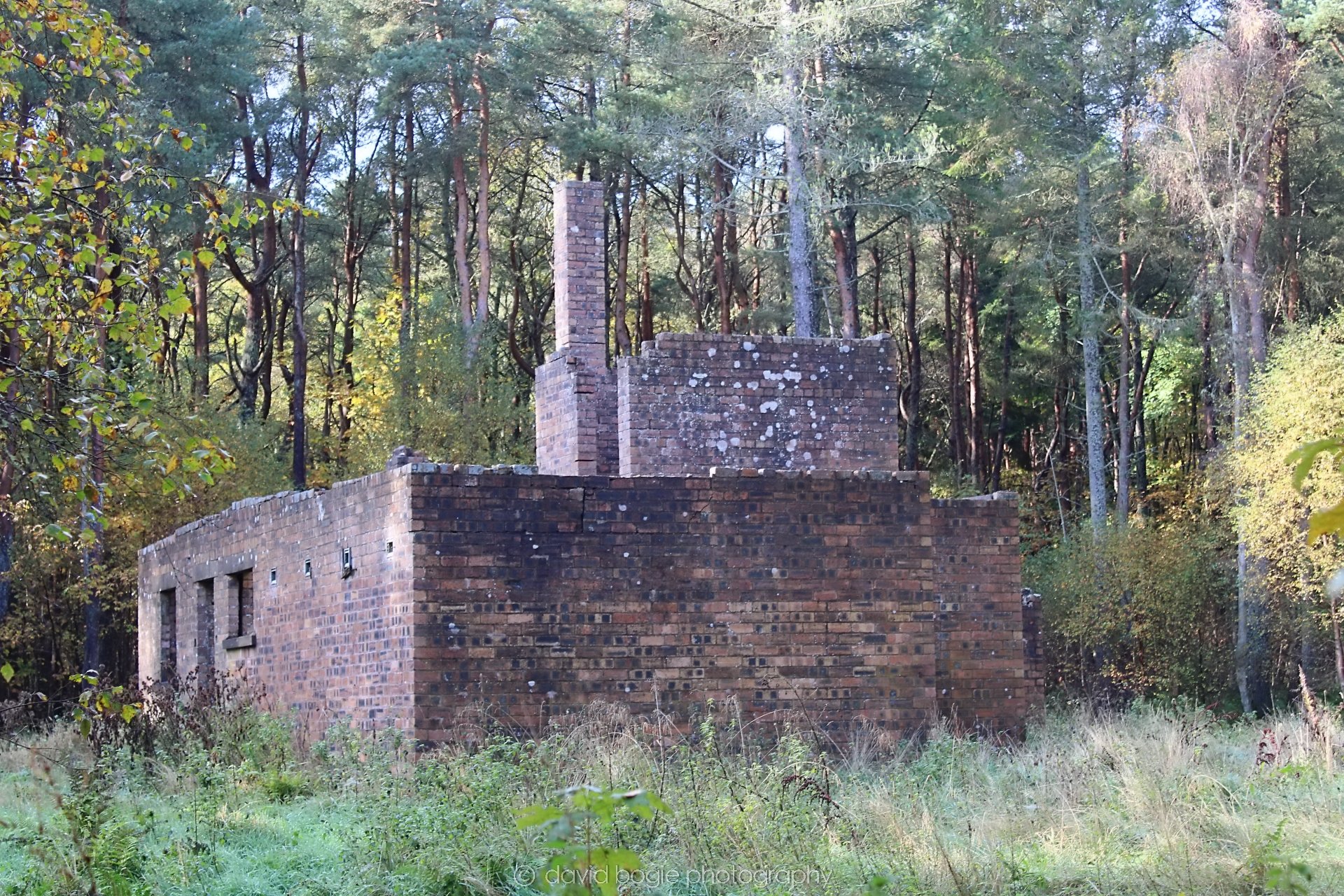 20191014 132341 Tentsmuir 0039.jpg