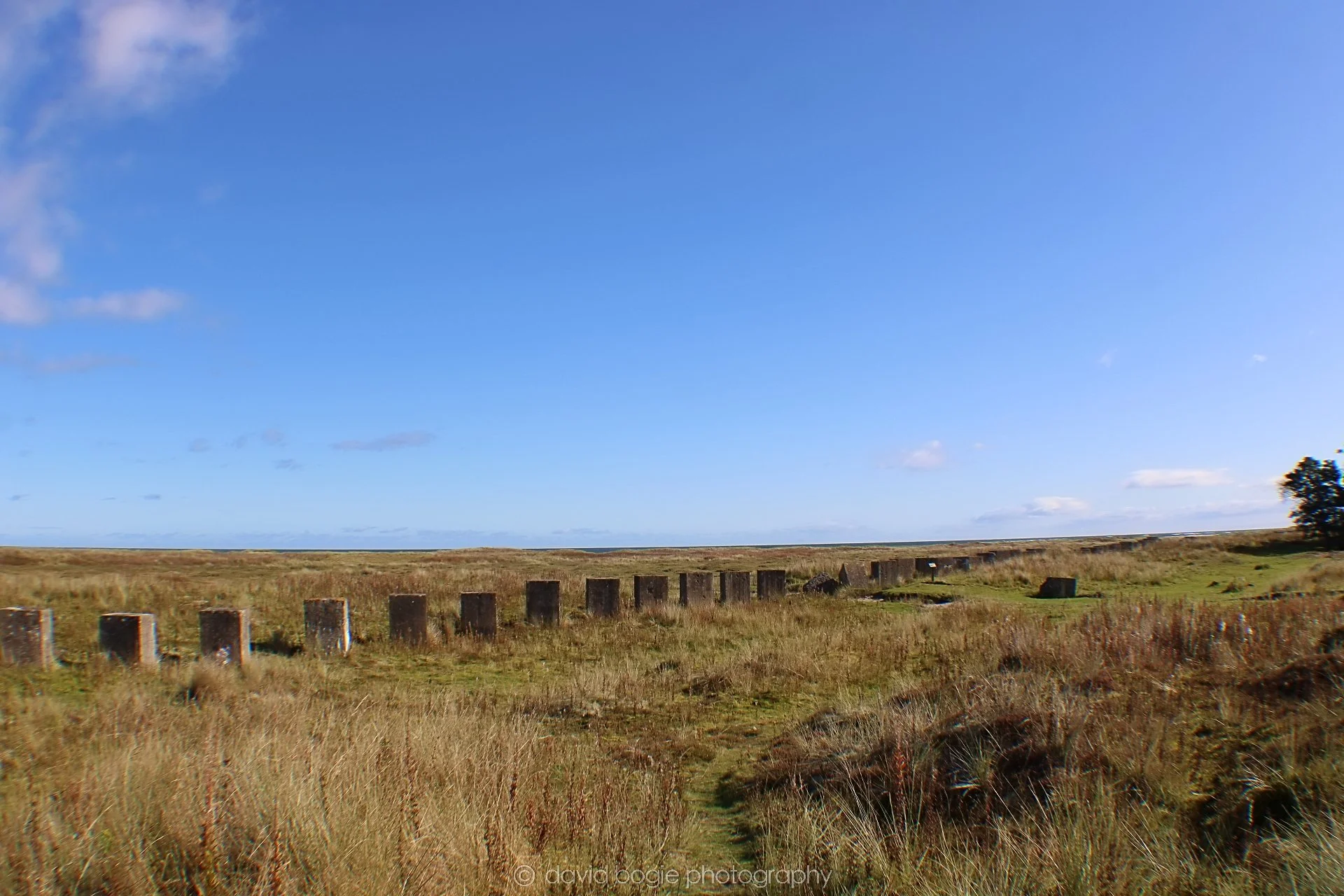 20191002 135526 Tentsmuir 0027.jpg