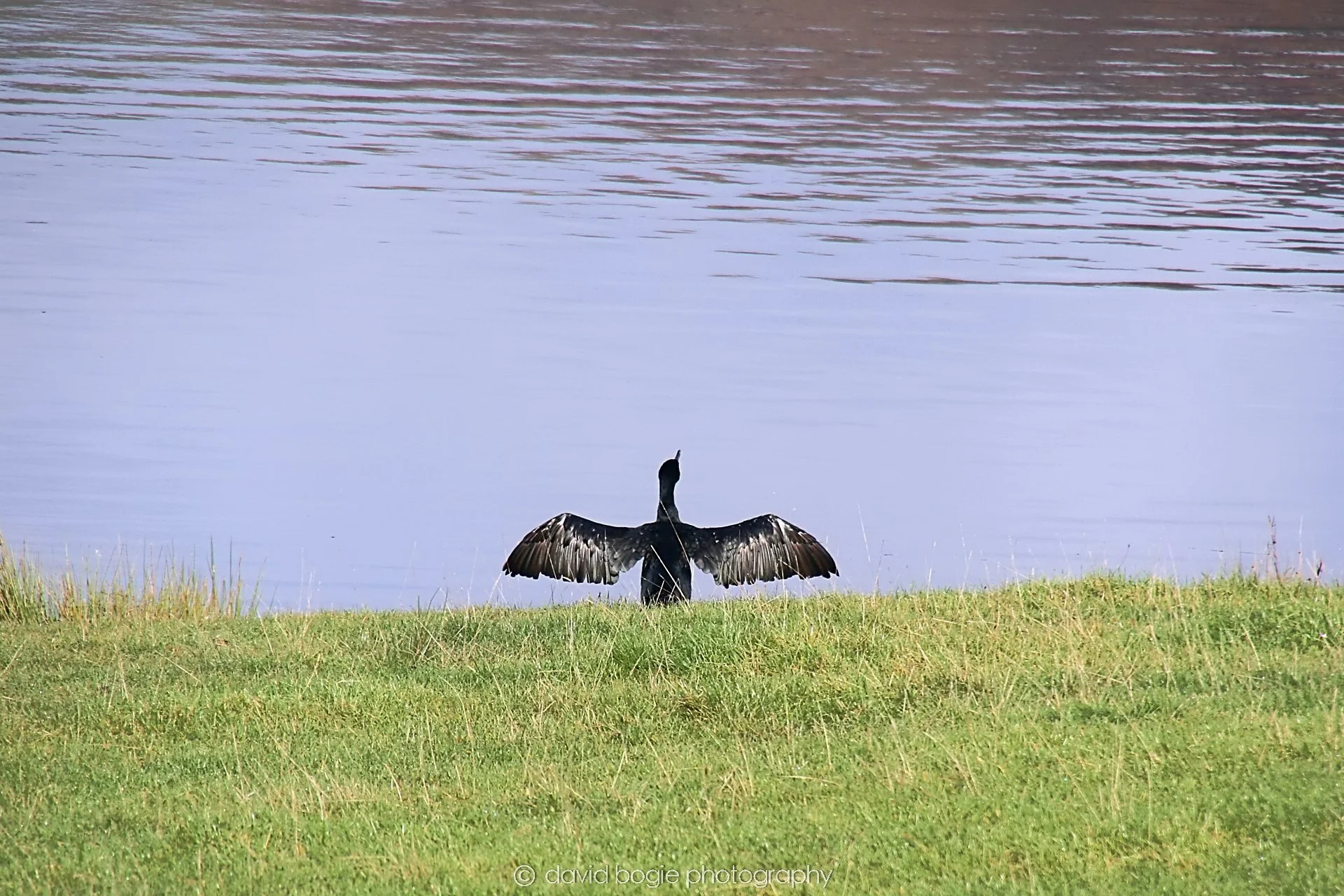 YEAR20231023 Lochore Meadows 114802 0255.jpg