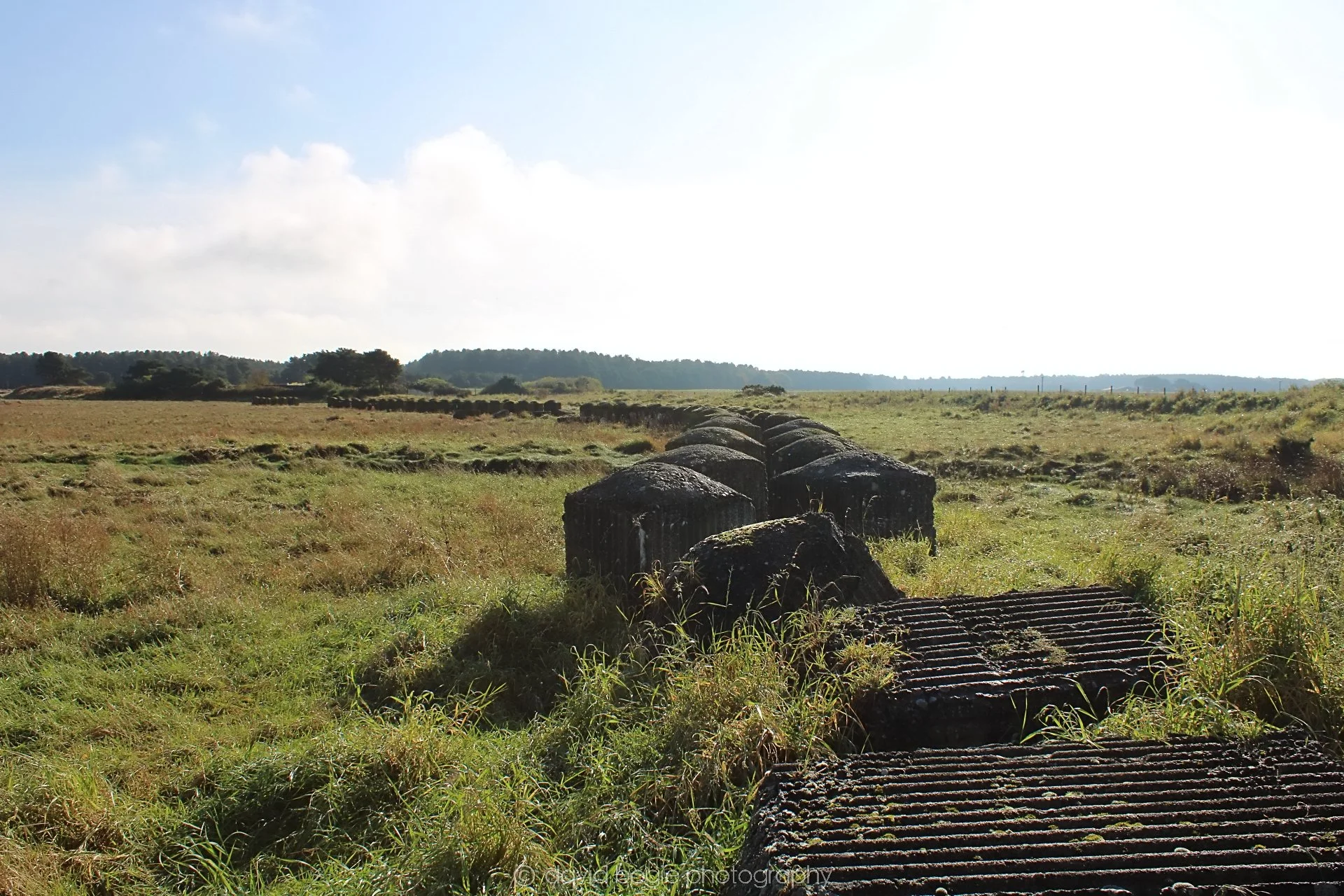 20191014 112451 Tentsmuir 0031.jpg