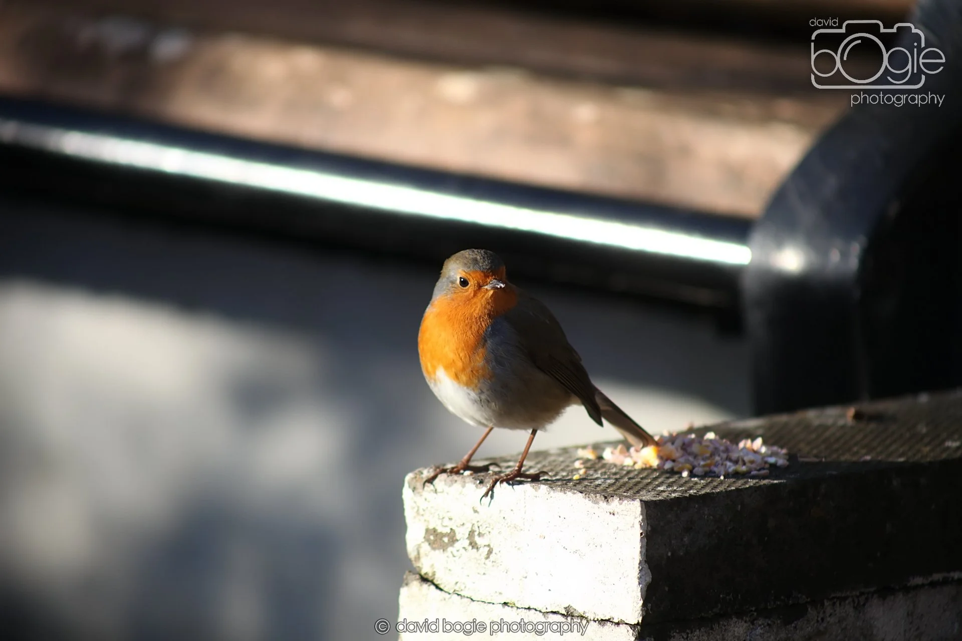 20251125 132605 Silverburn 0024.JPG