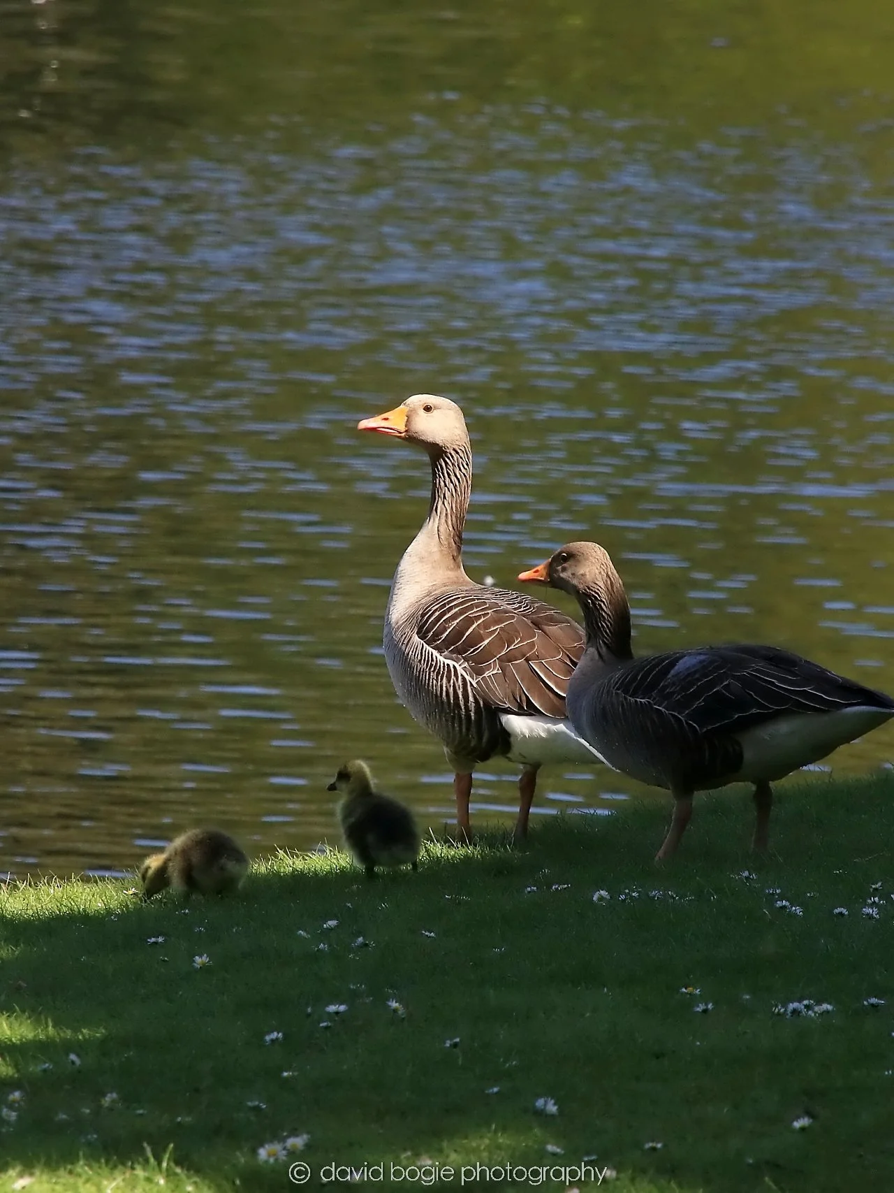 YEAR20250505 135827 Beveridge Park 1012.jpg