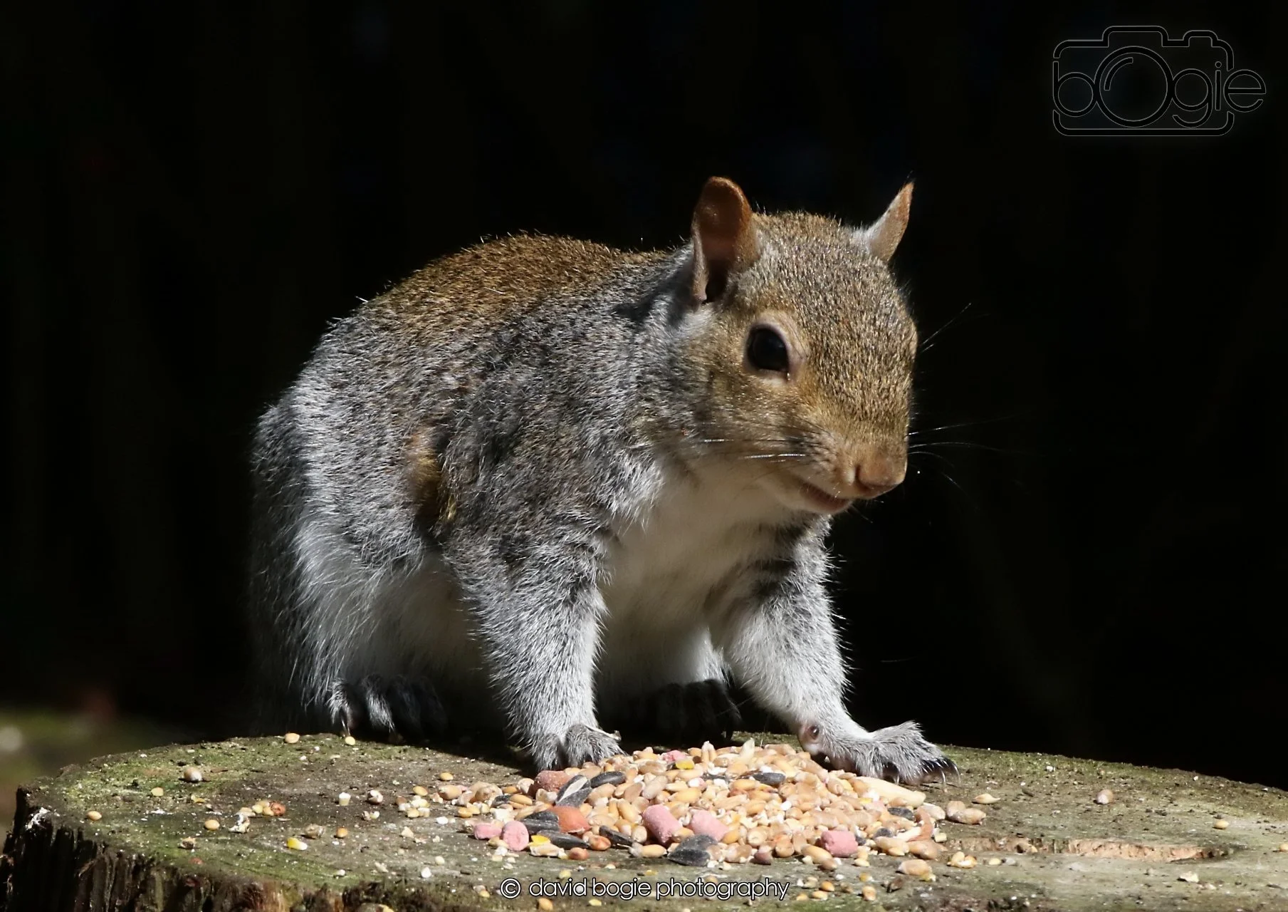 20260403 121518 Dunnikier 0105.jpg