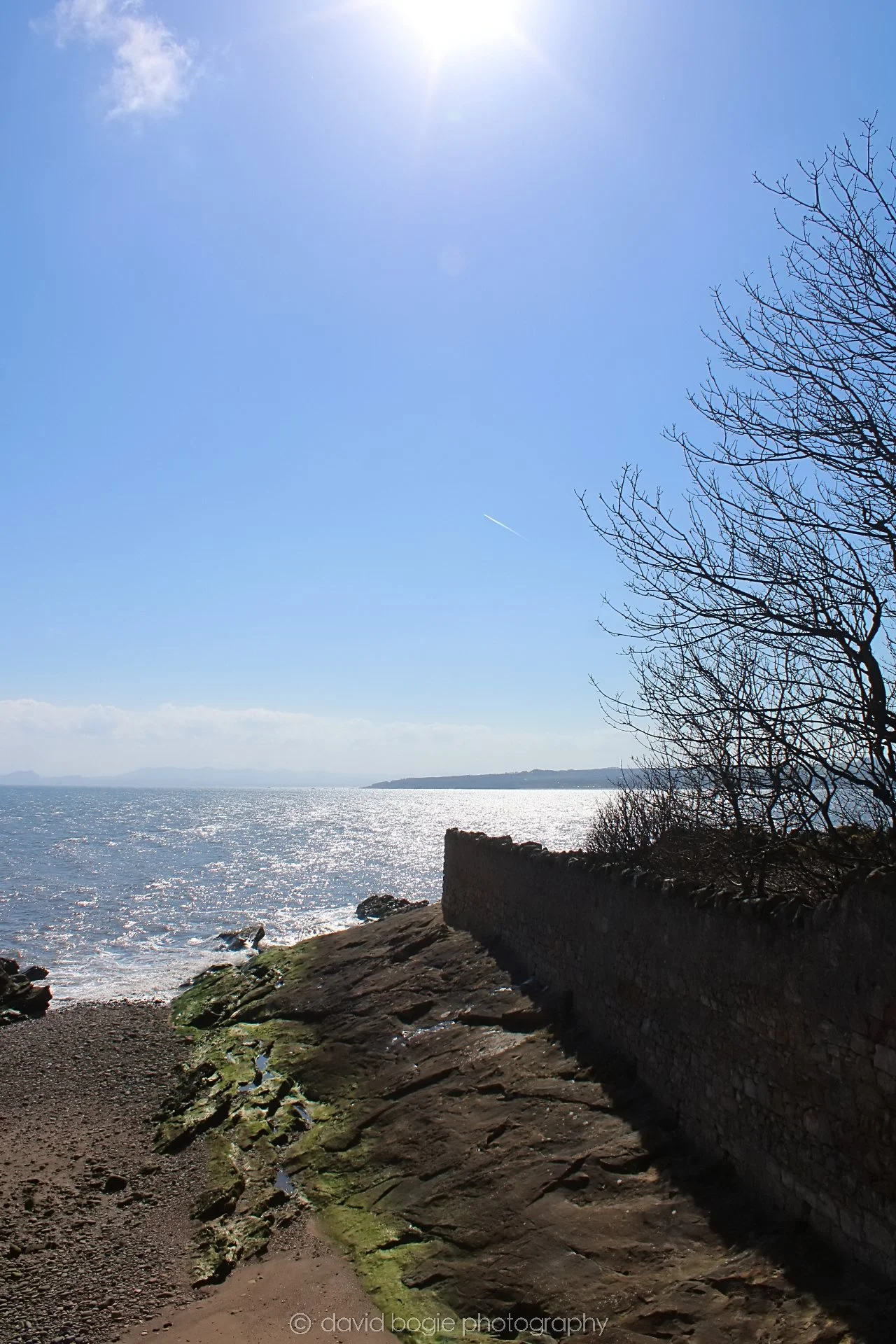 20190409 133719 Ravenscraig 0001.jpg