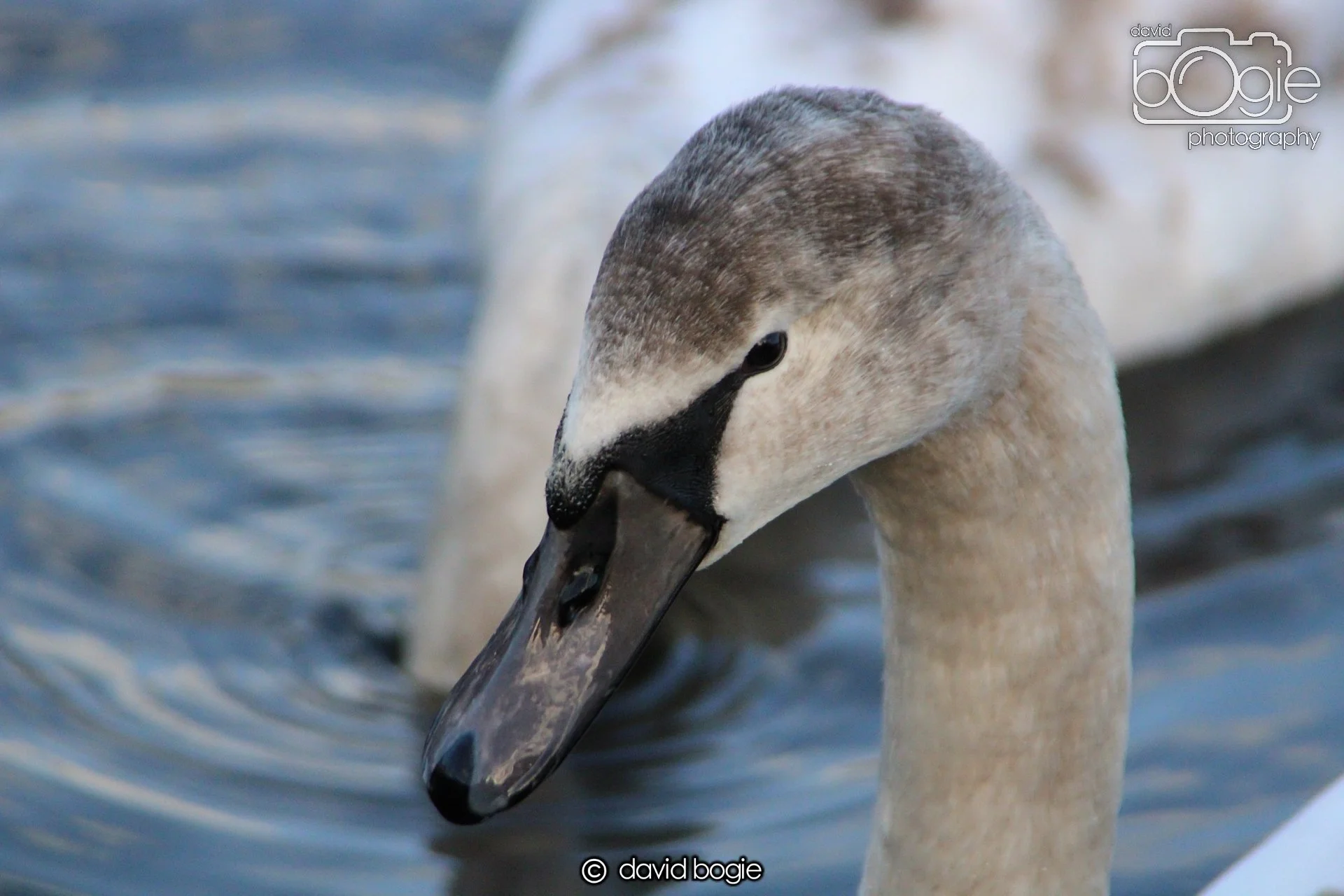 20220101 Beveridge Park 29 .JPG