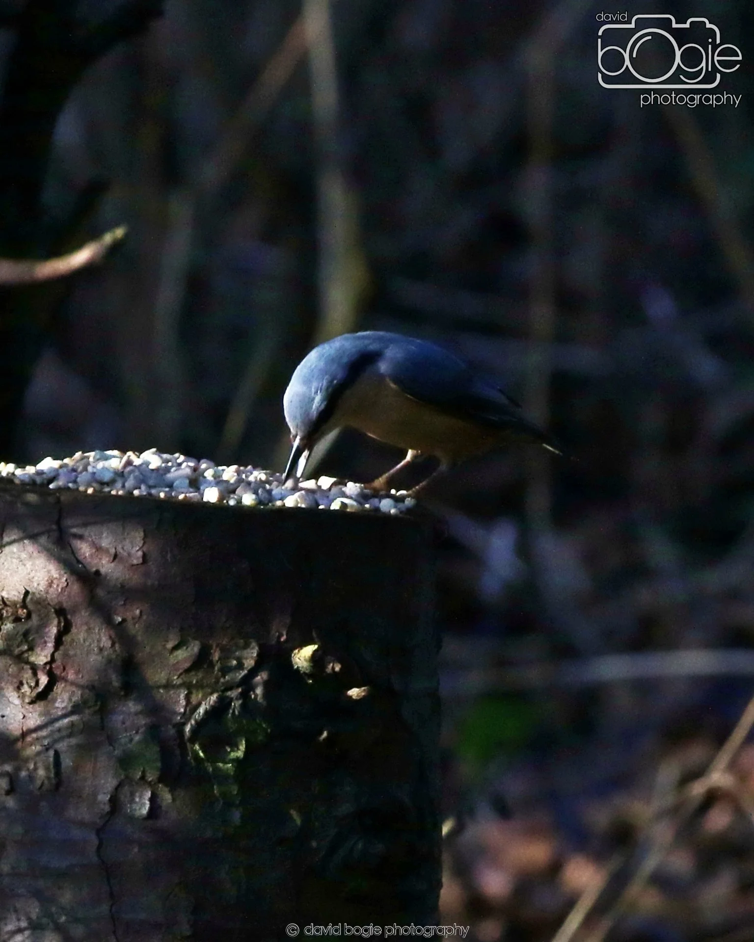 20260128 125942 Dunnikier 0109.JPG